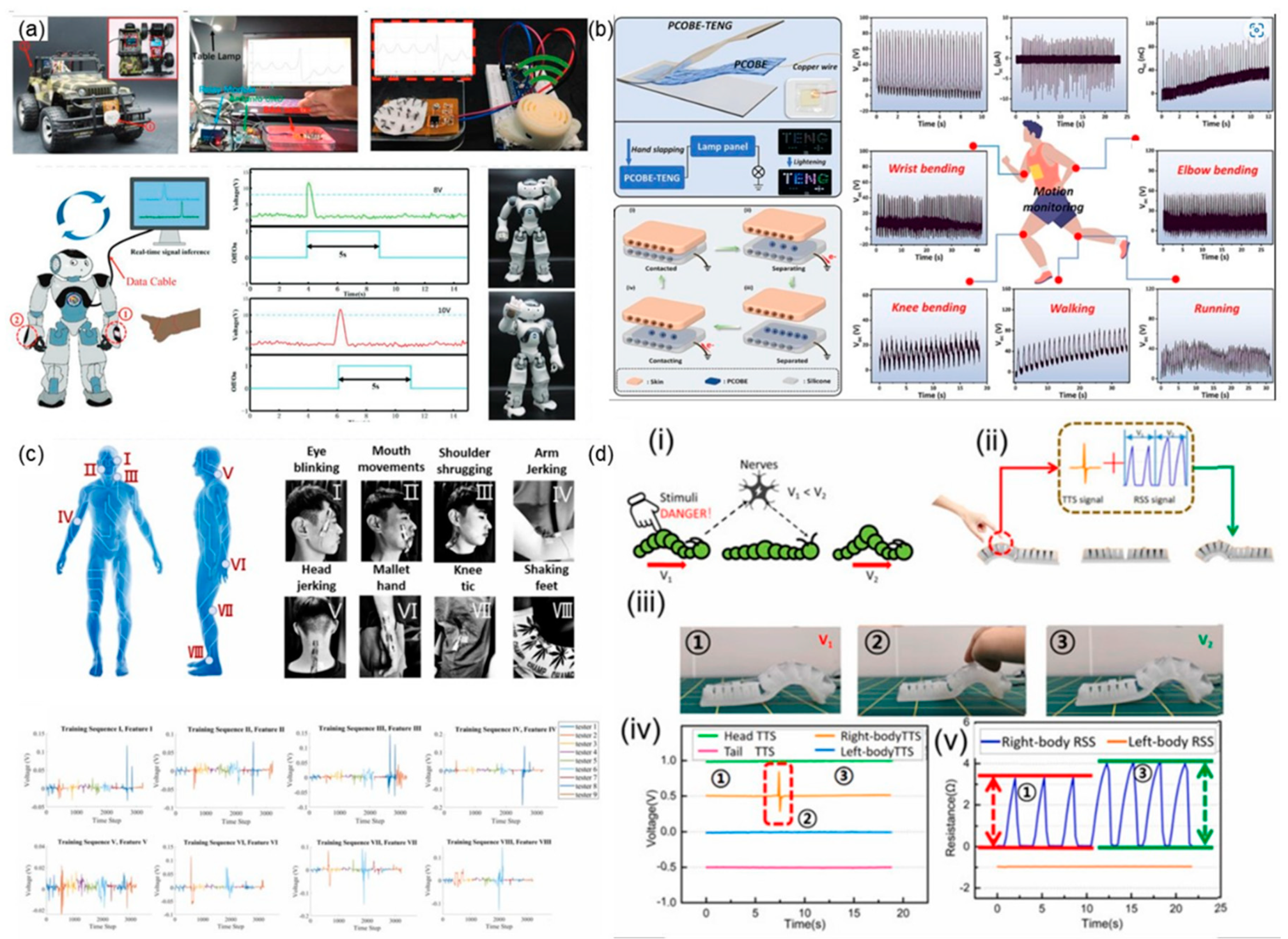 Preprints 91158 g010