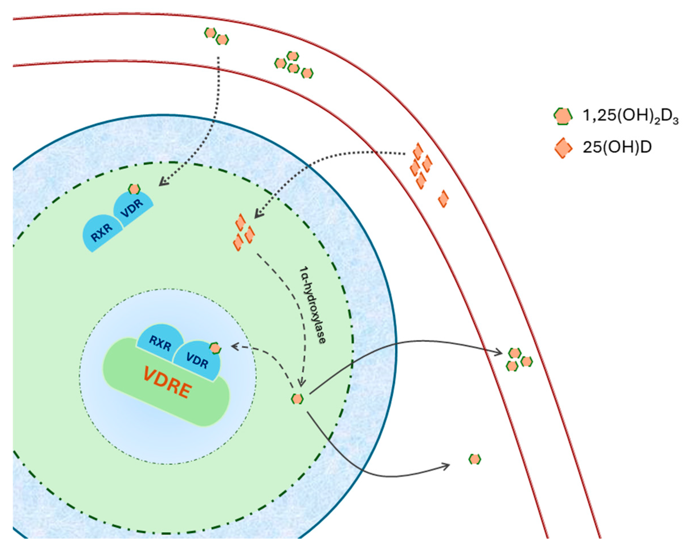 Preprints 103007 g001