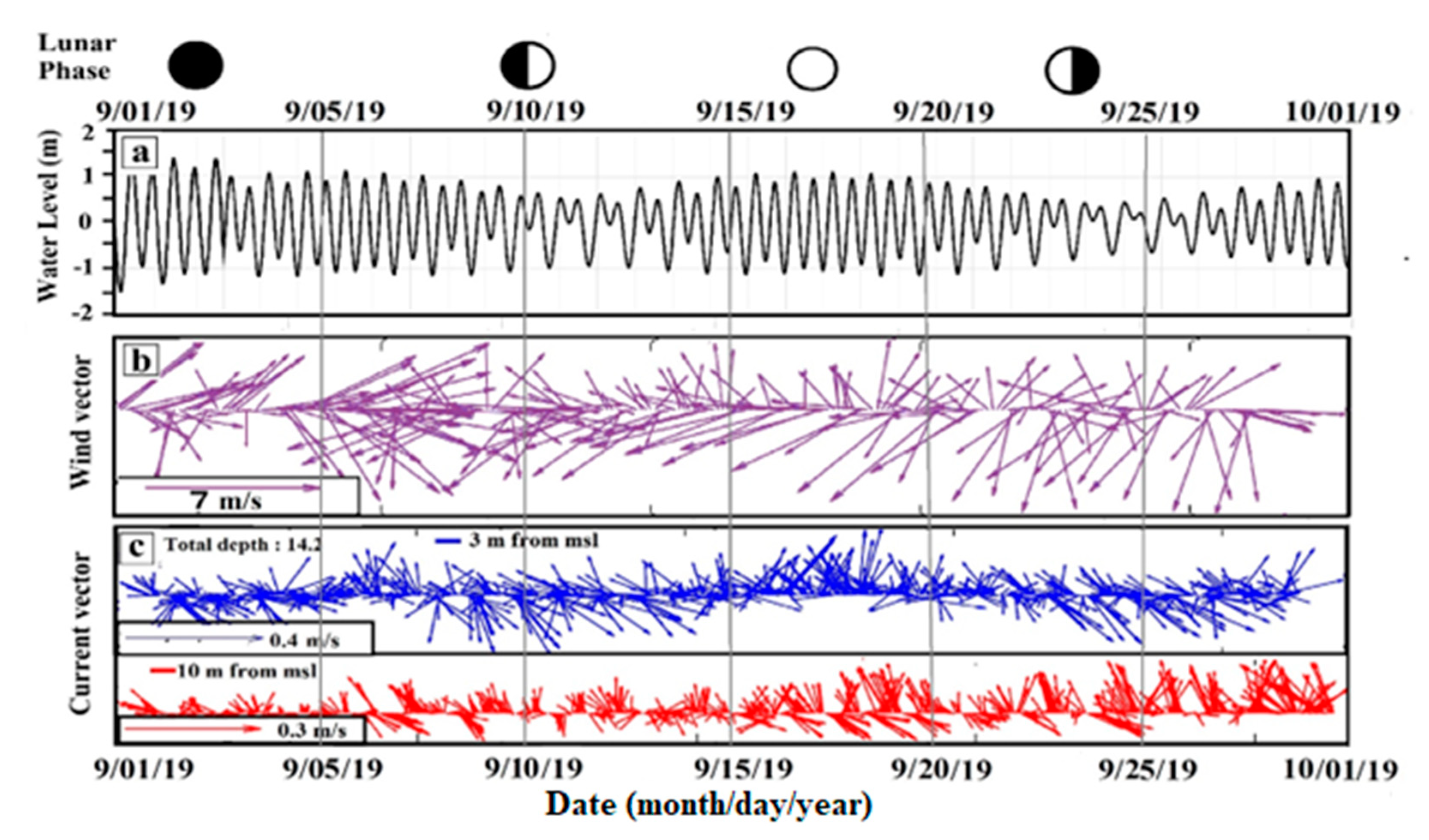 Preprints 81003 g008