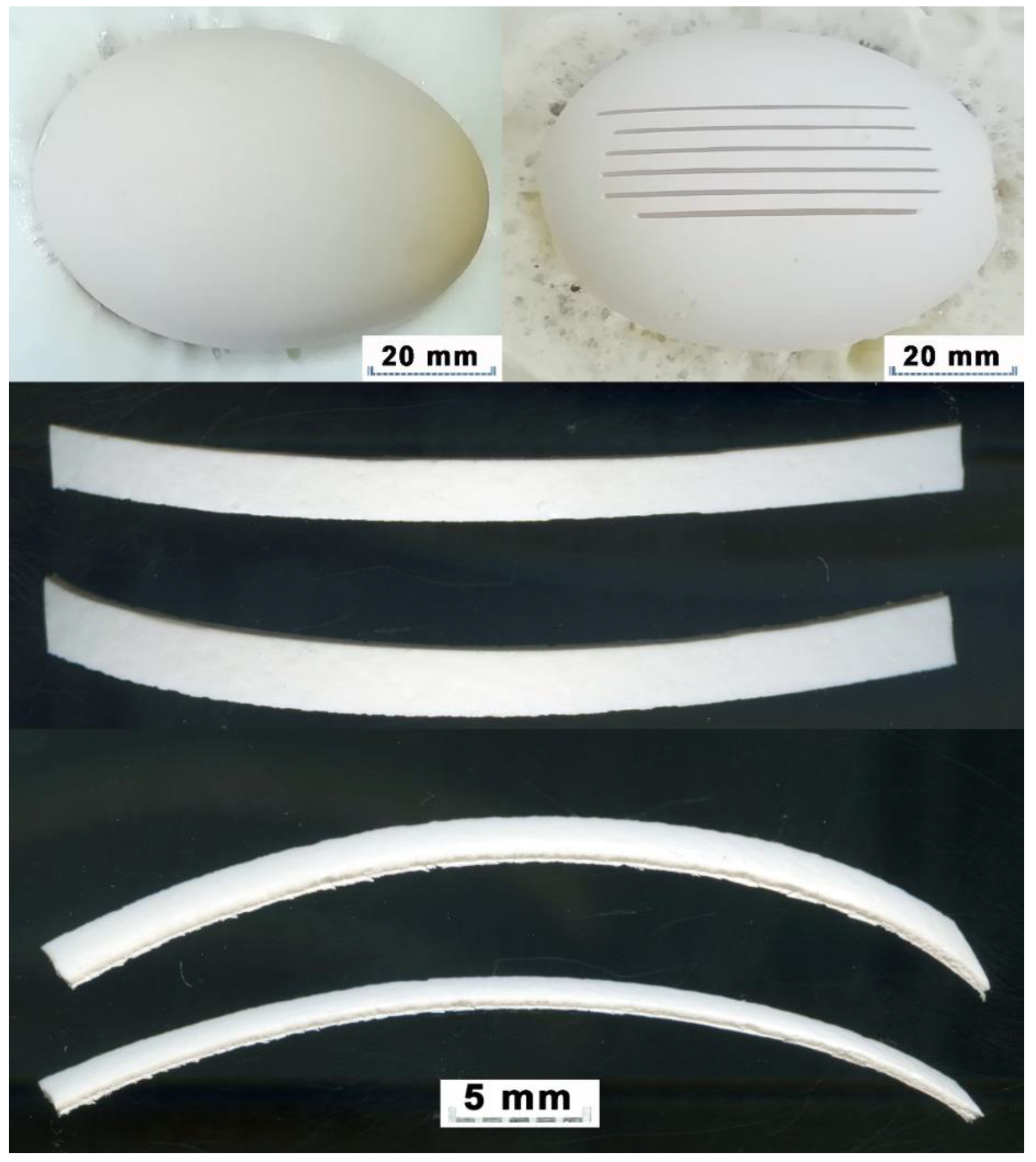 Preprints 74008 g001