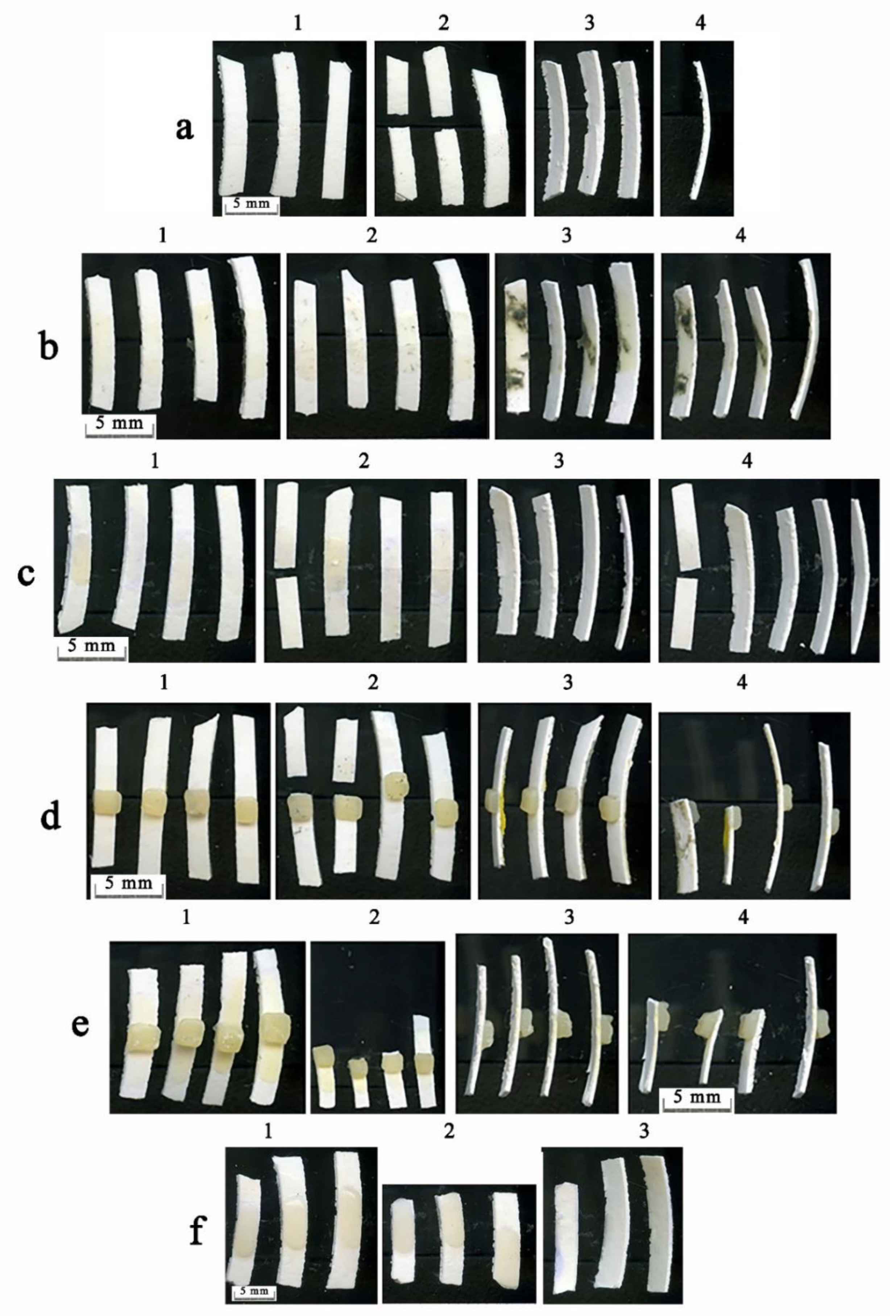 Preprints 74008 g006