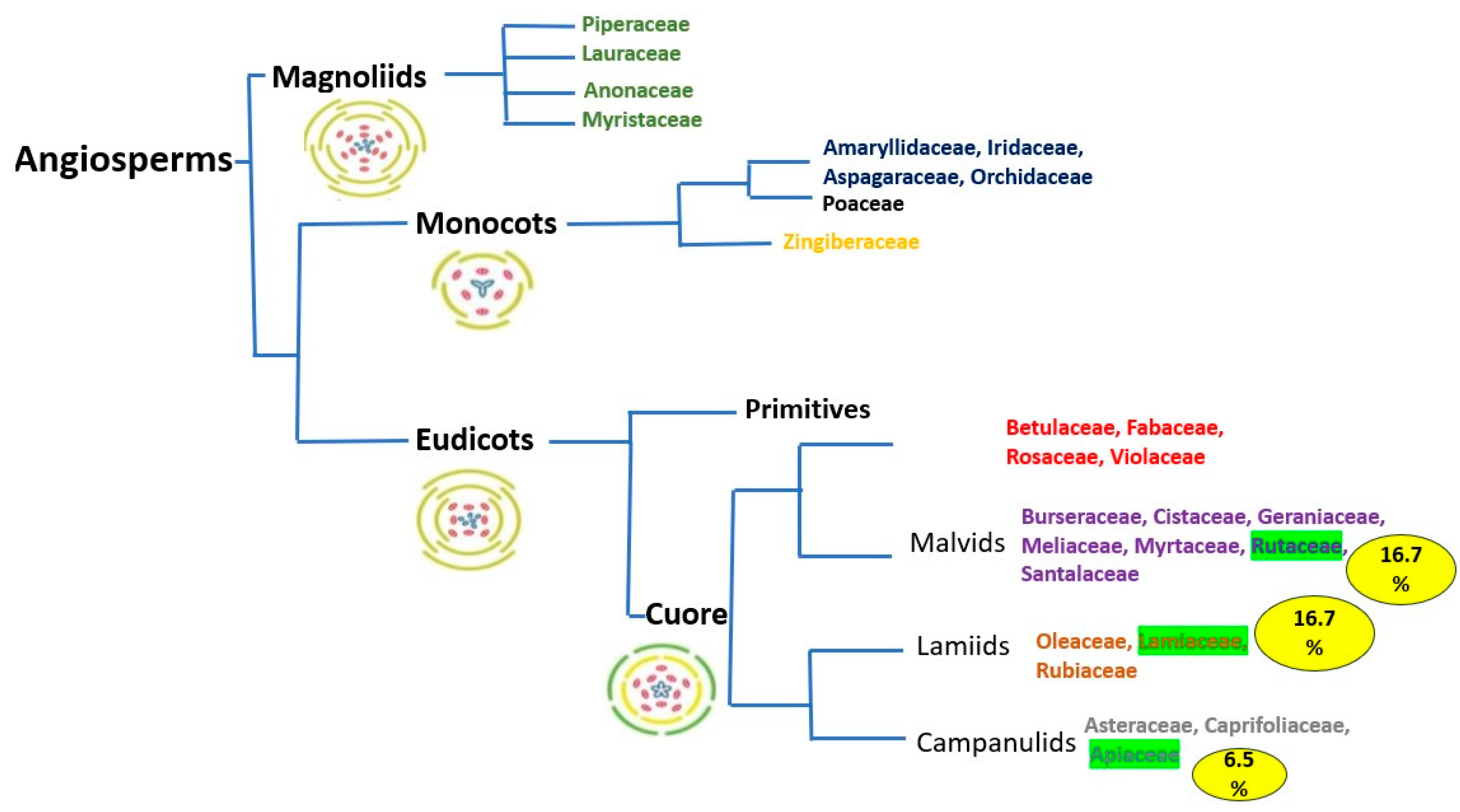 Preprints 87213 g005