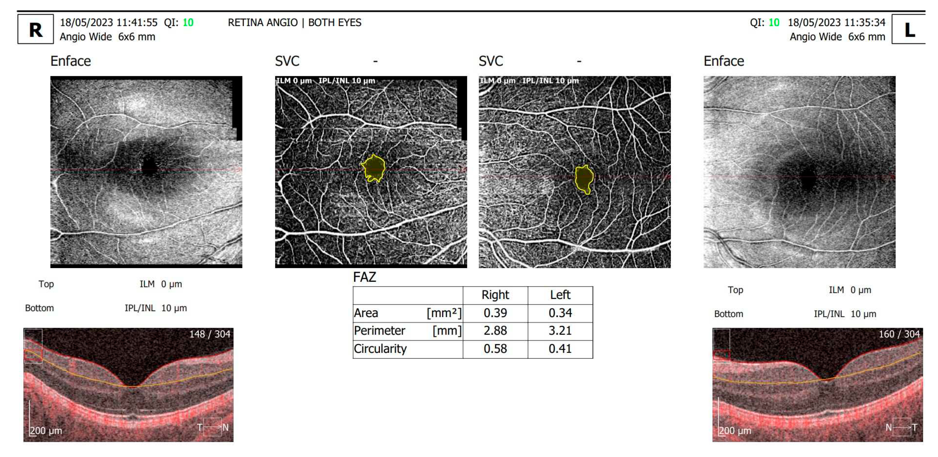 Preprints 82554 g002