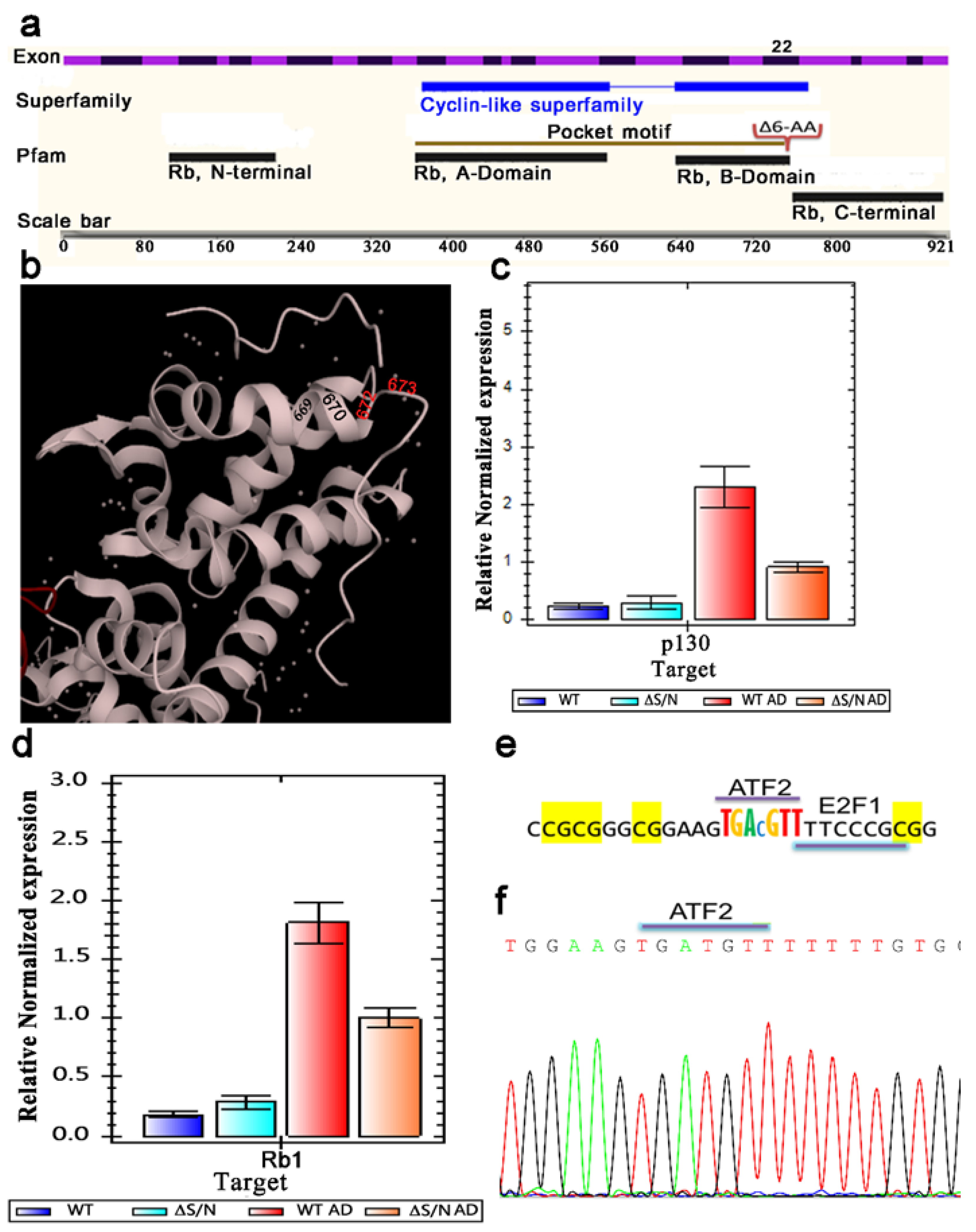 Preprints 117269 g001