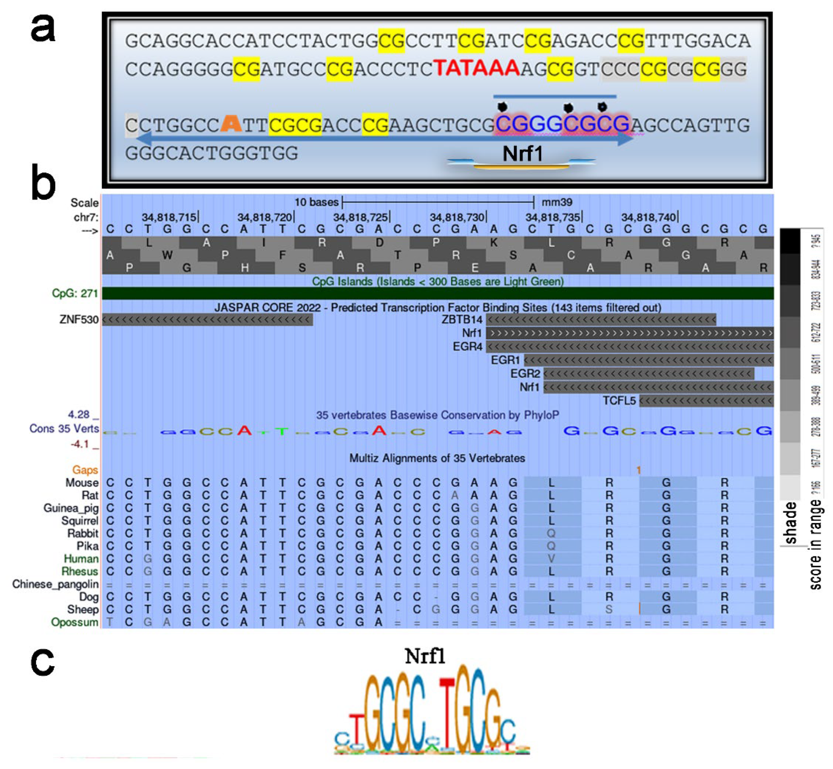 Preprints 117269 g004