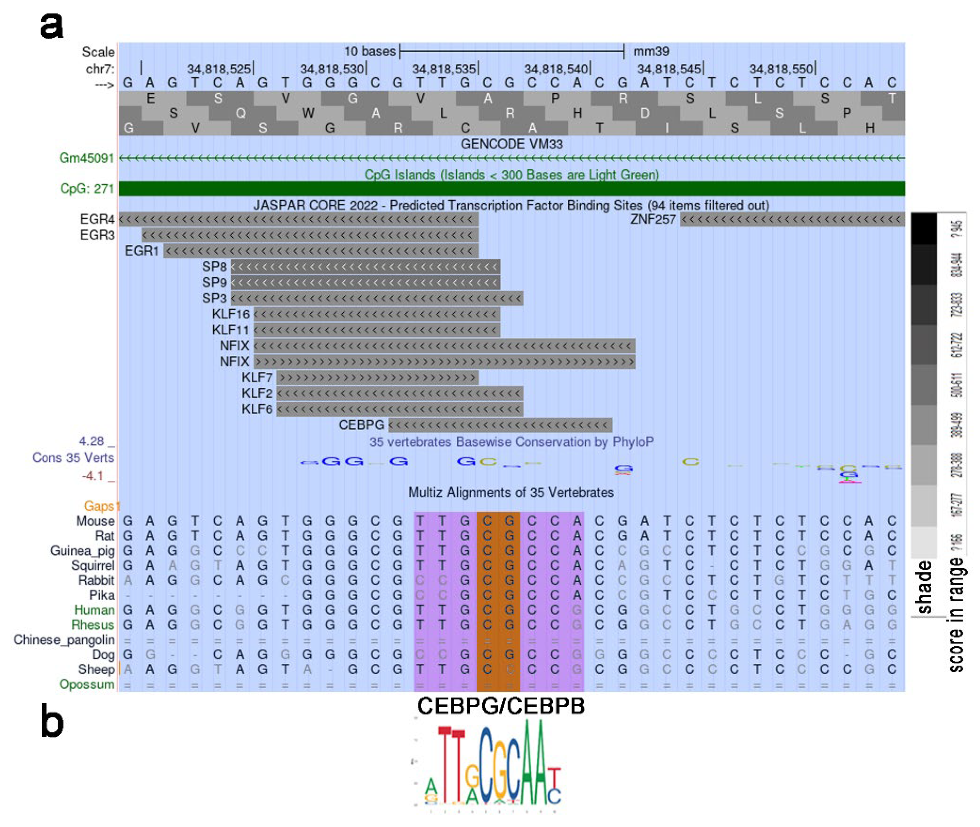 Preprints 117269 g005