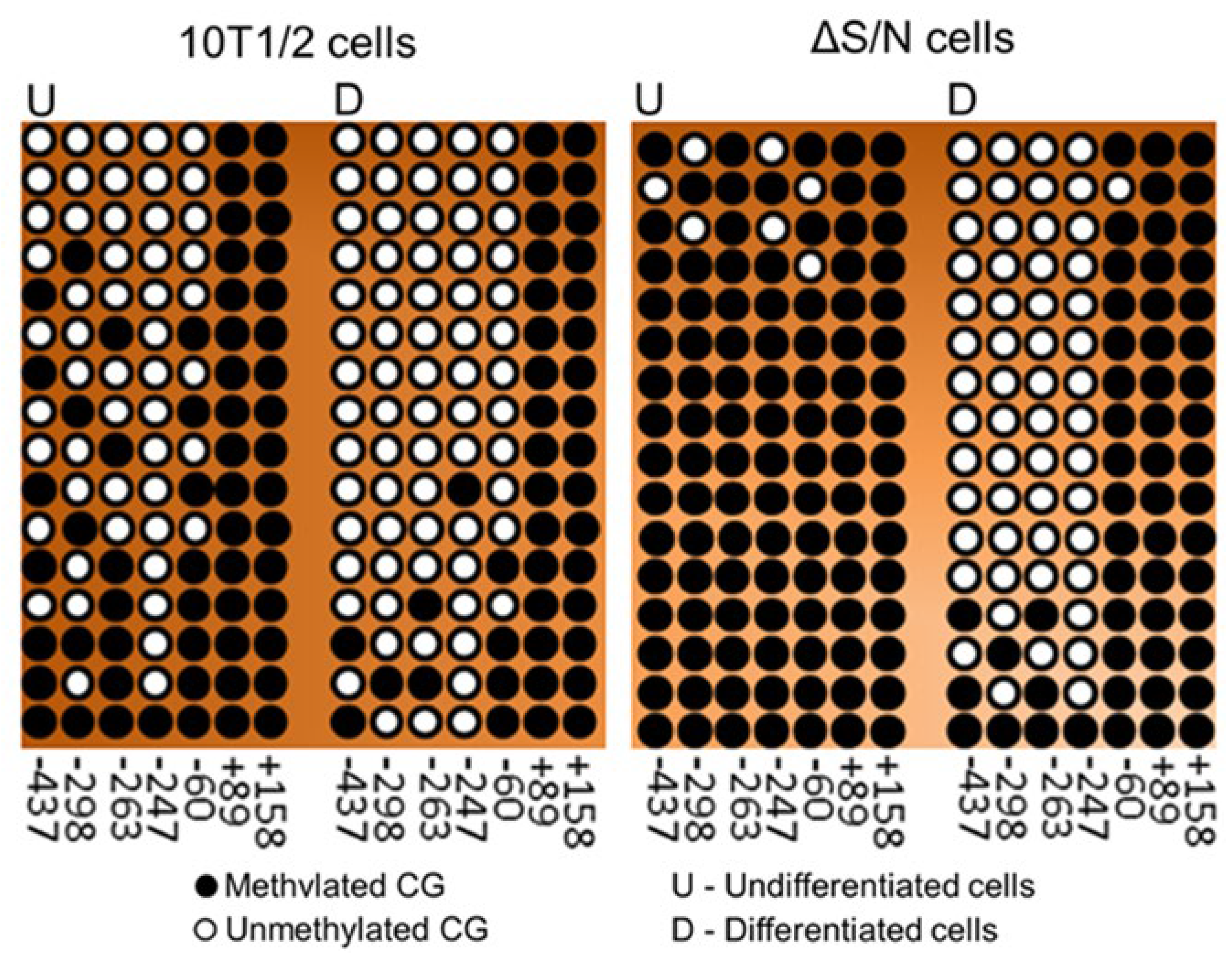 Preprints 117269 g006