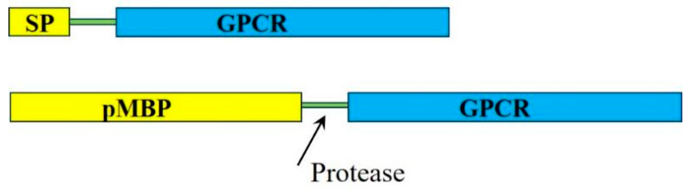 Preprints 96259 g001