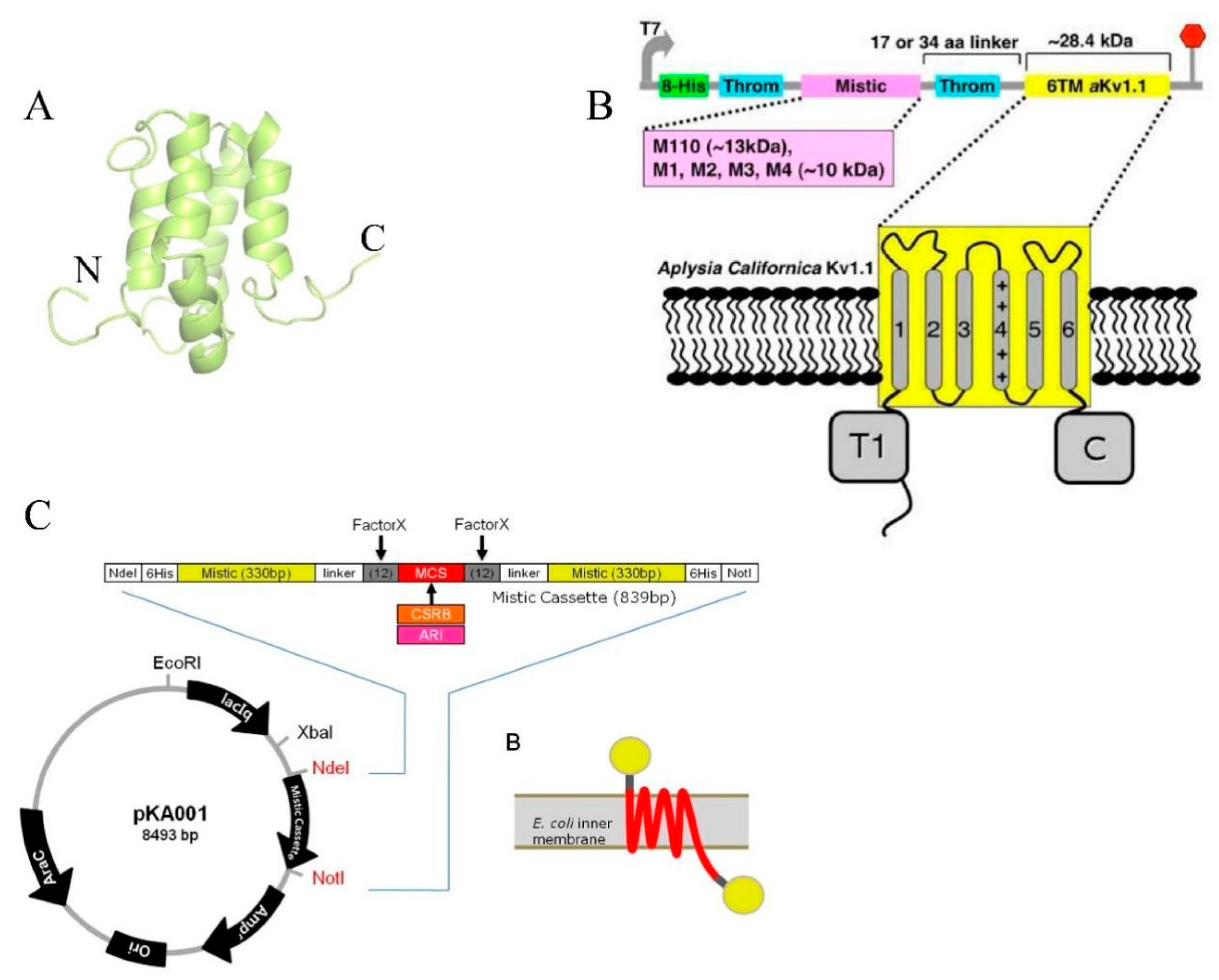 Preprints 96259 g002