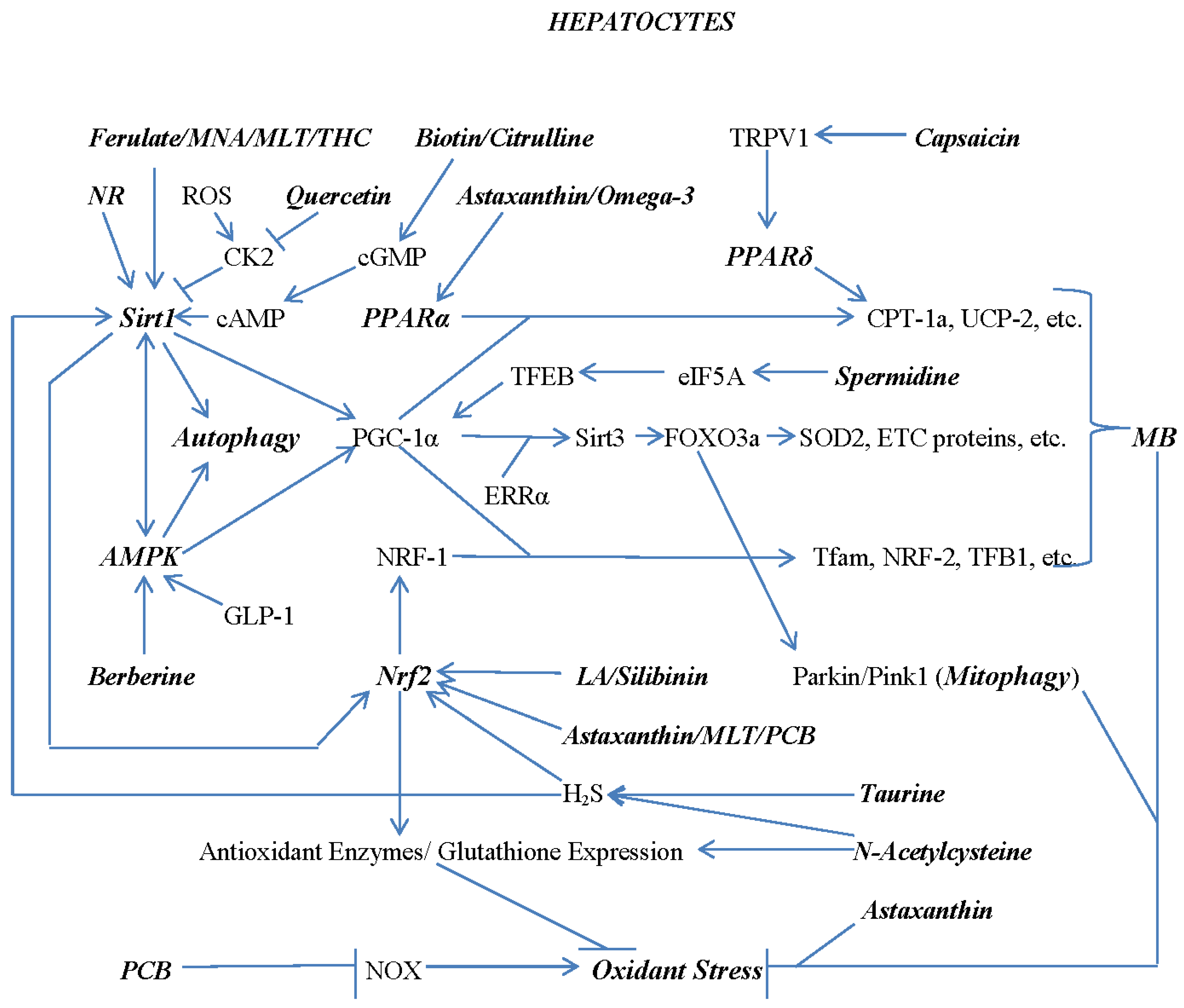 Preprints 77489 g001