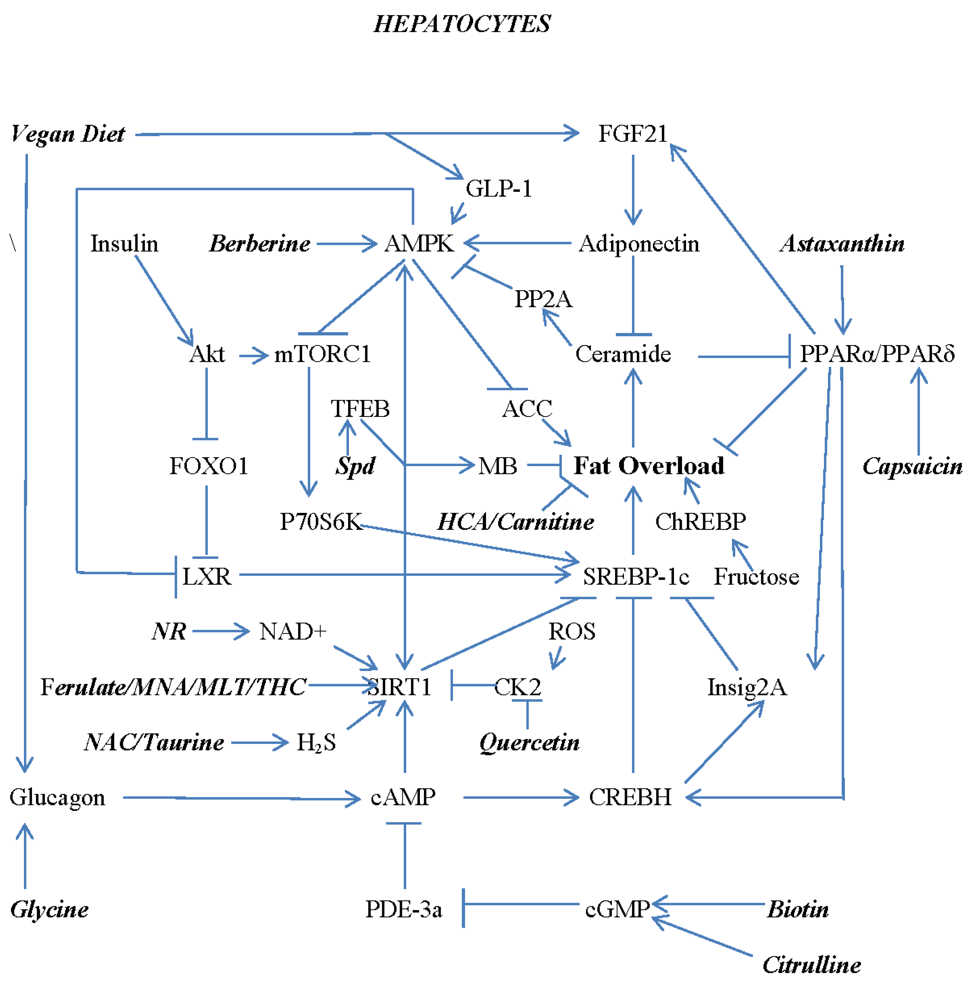 Preprints 77489 g002