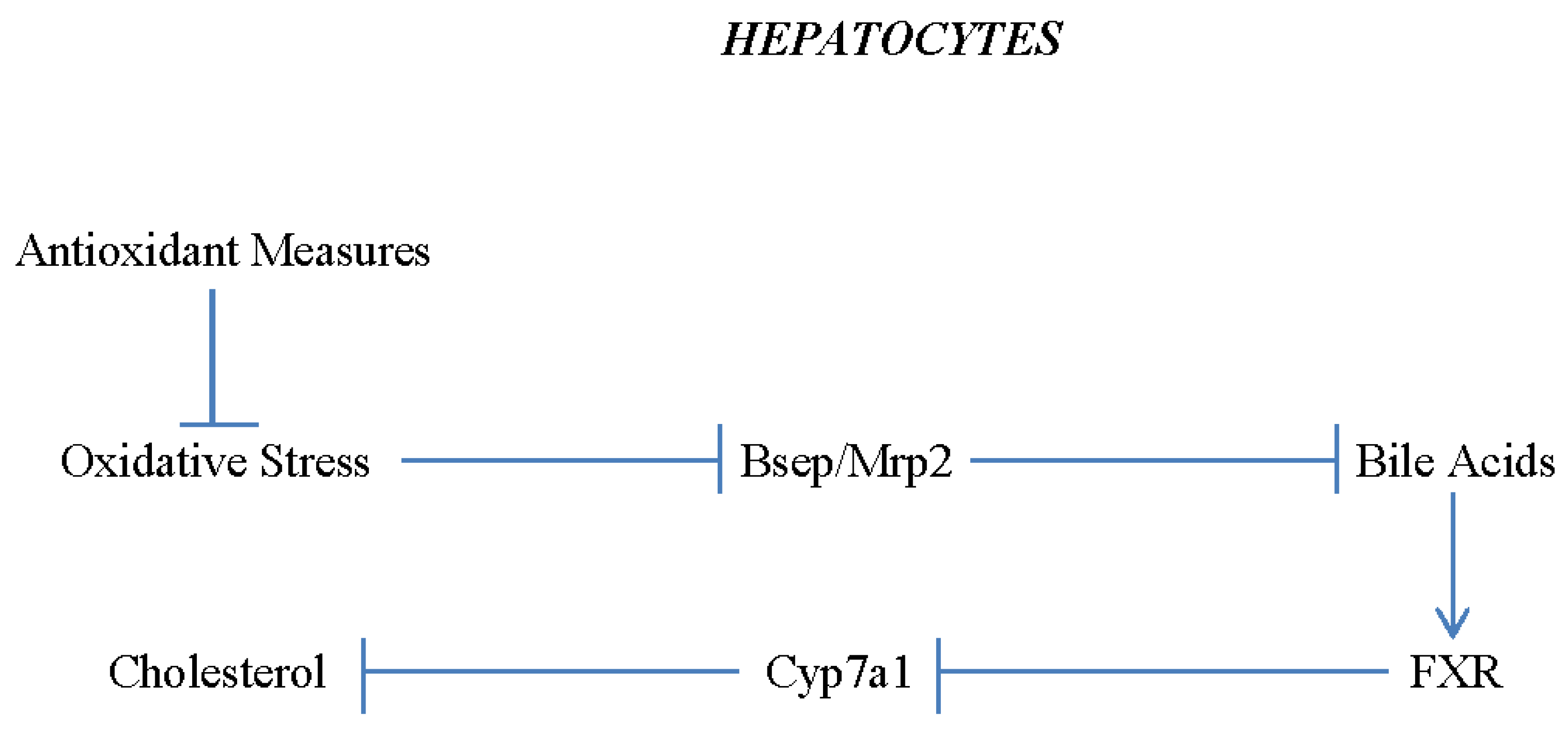 Preprints 77489 g003