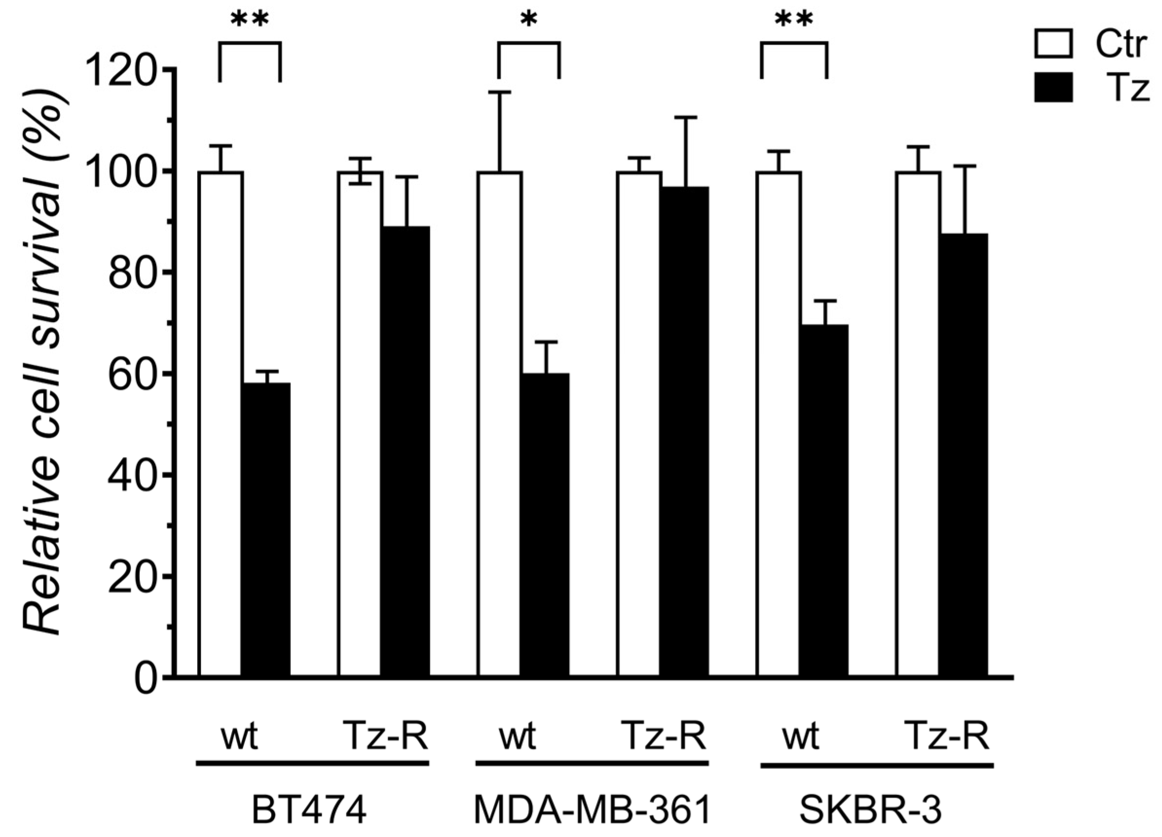 Preprints 70395 g001