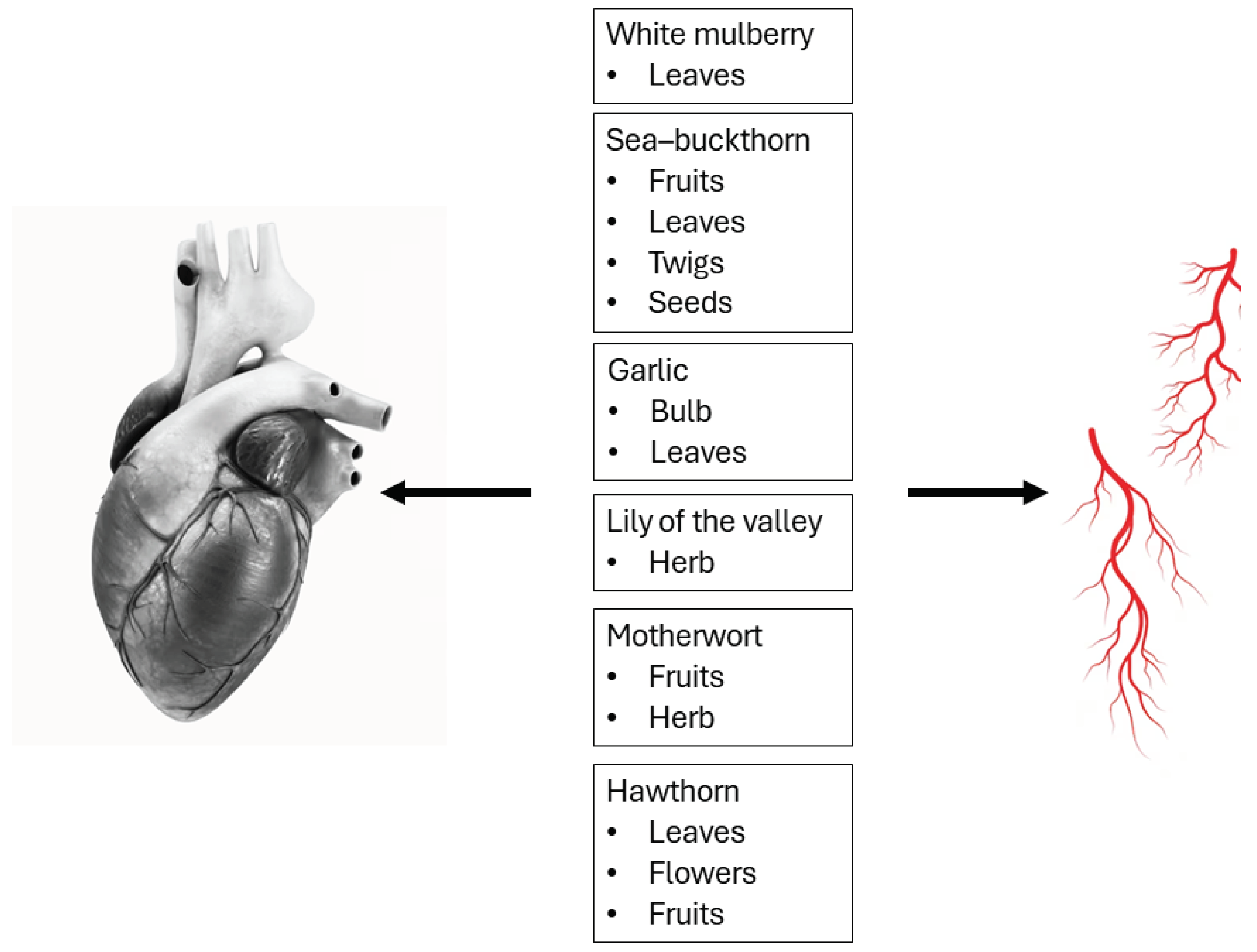 Preprints 101596 g001