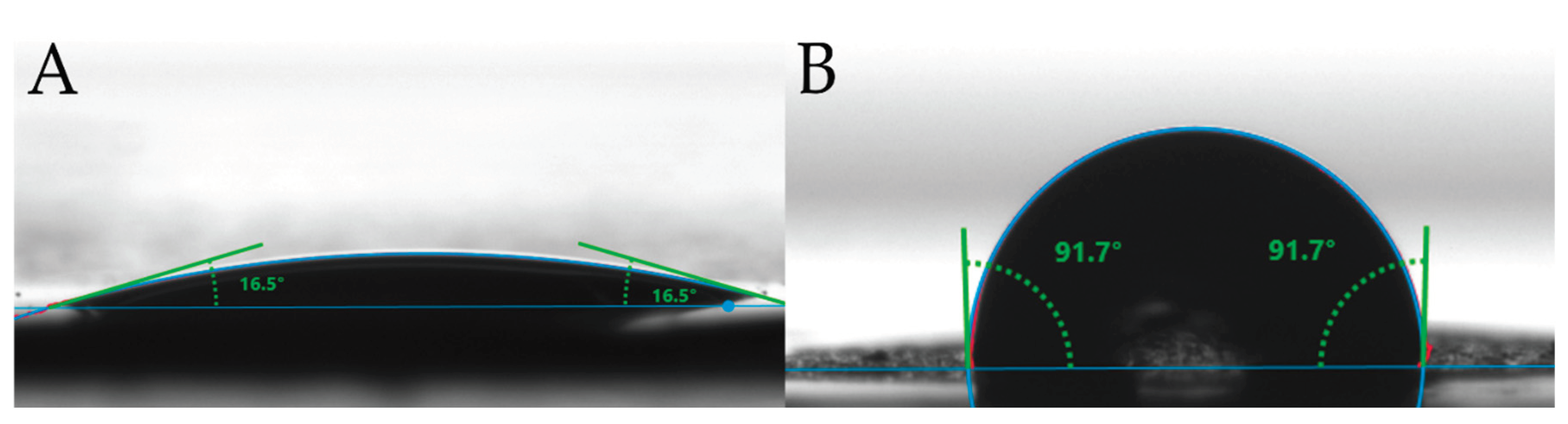 Preprints 100320 g003