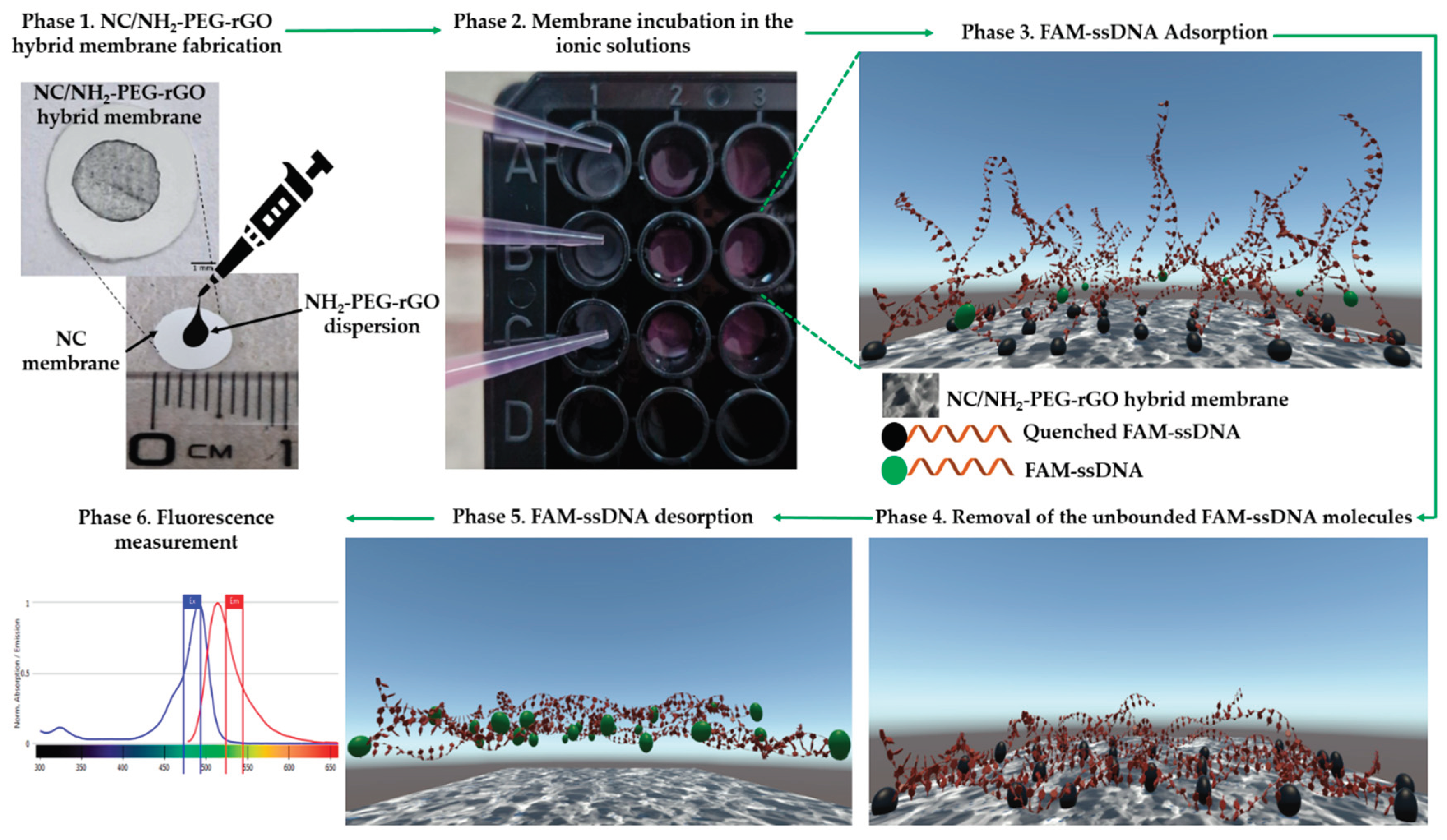 Preprints 100320 g005