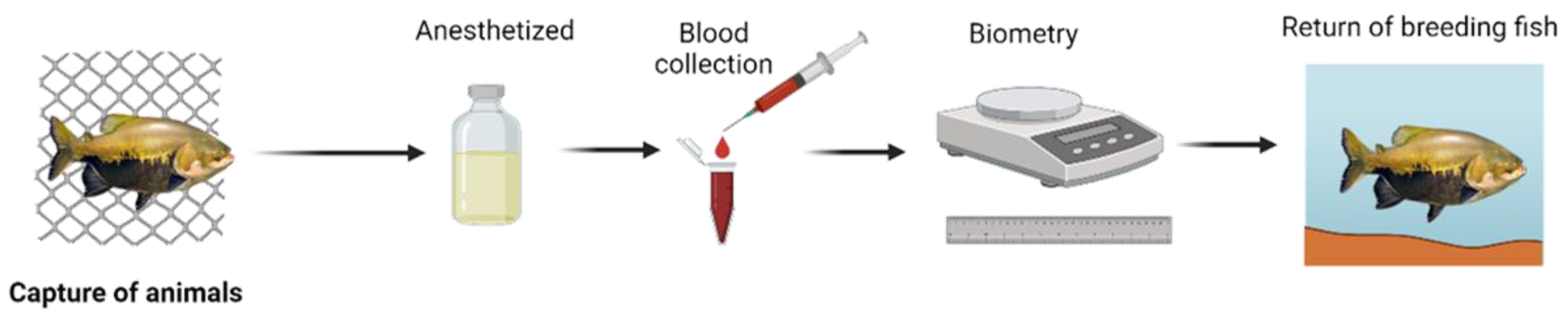 Preprints 103117 g002