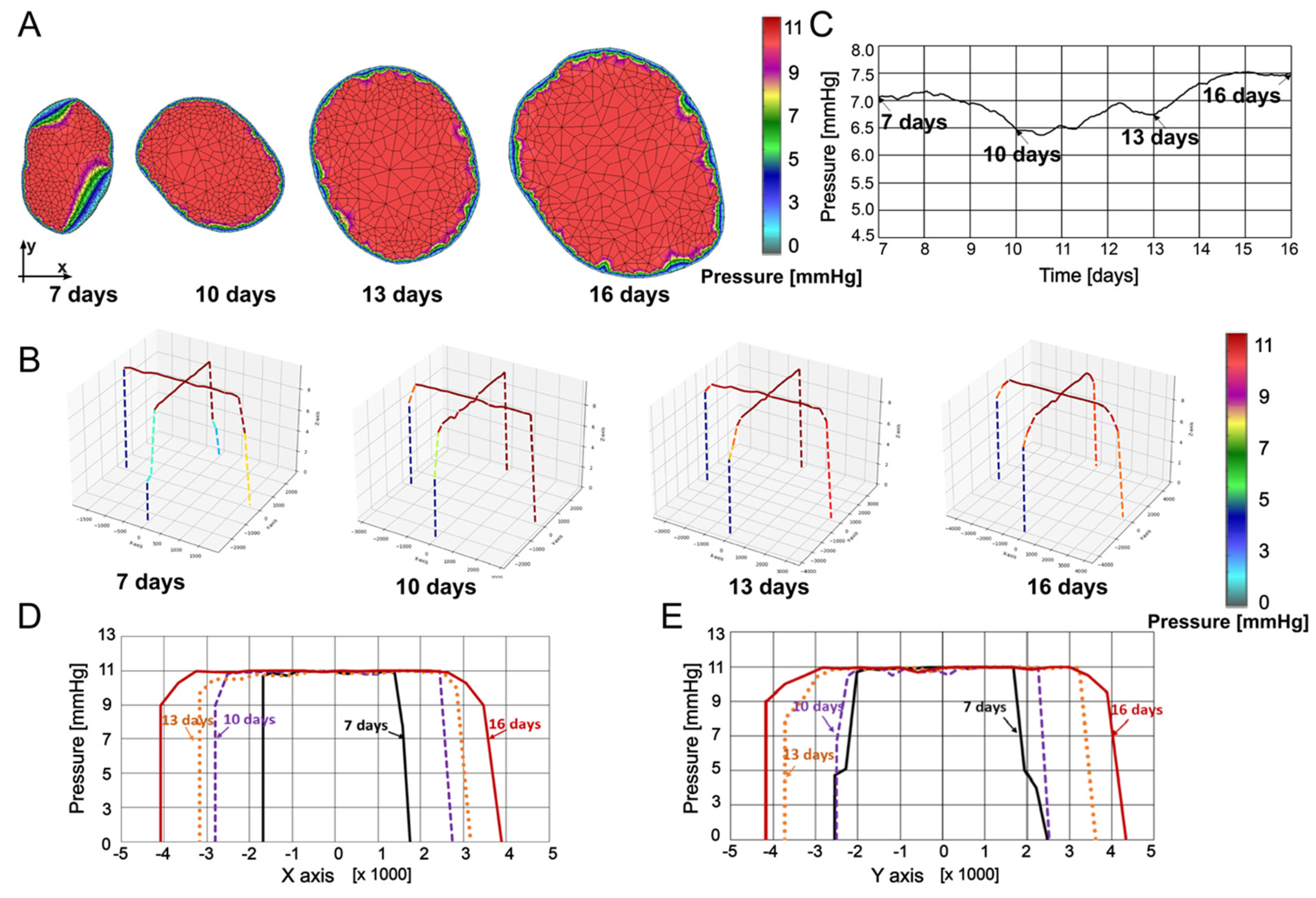 Preprints 110362 g004