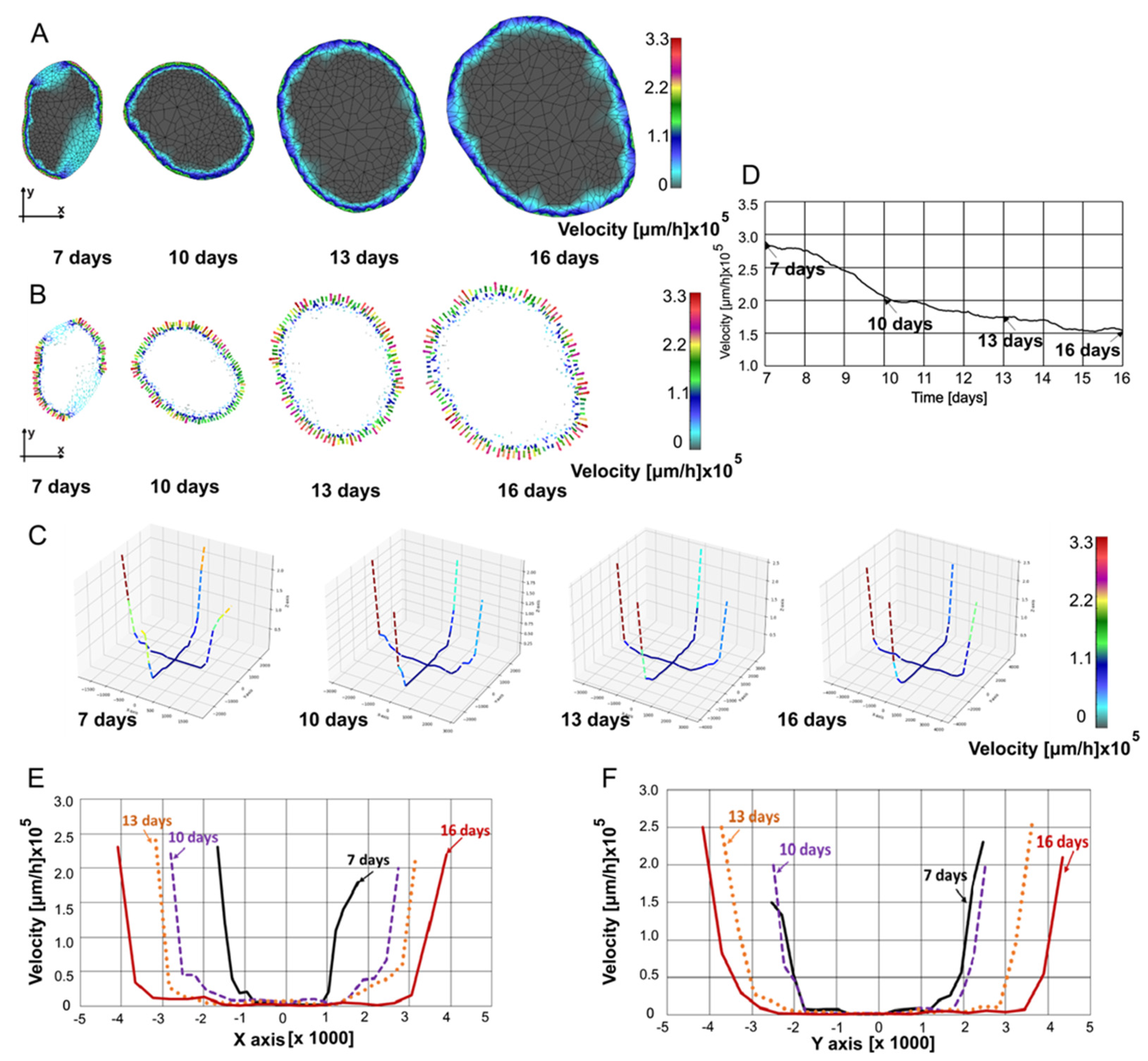 Preprints 110362 g005