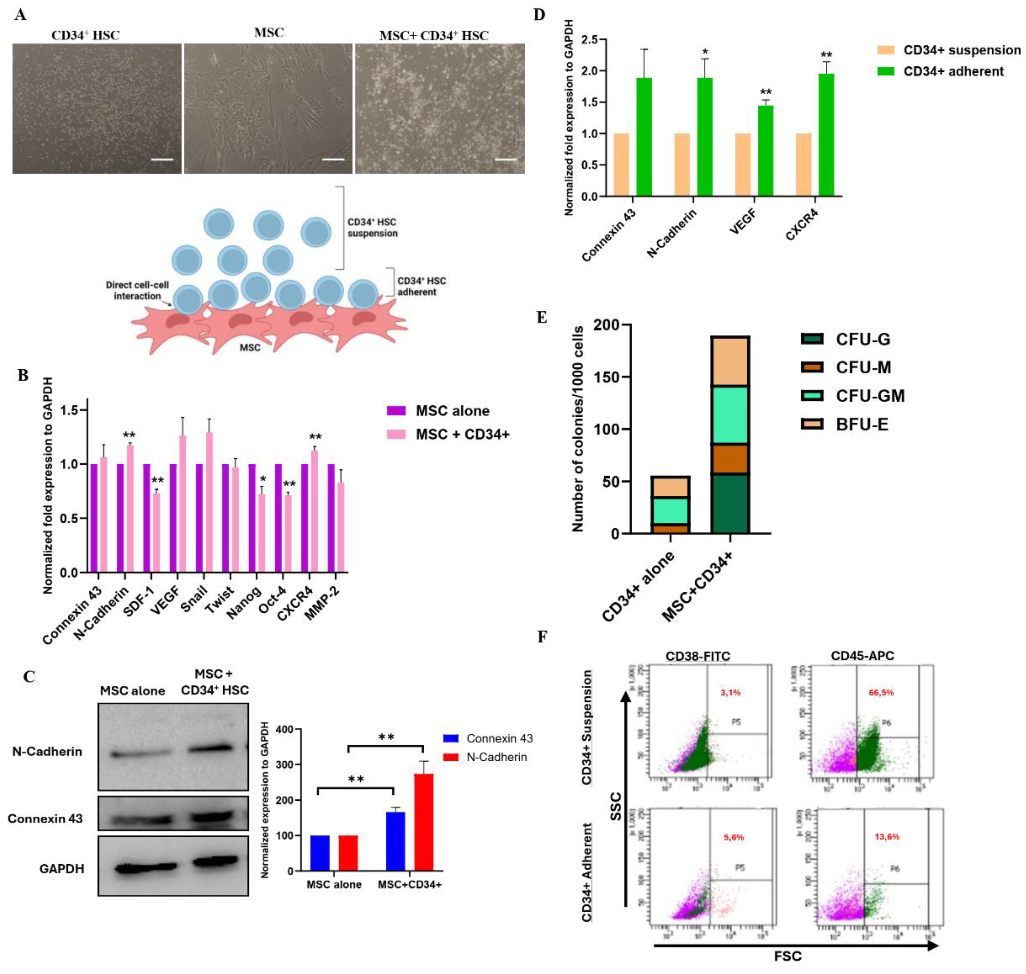 Preprints 119727 g001