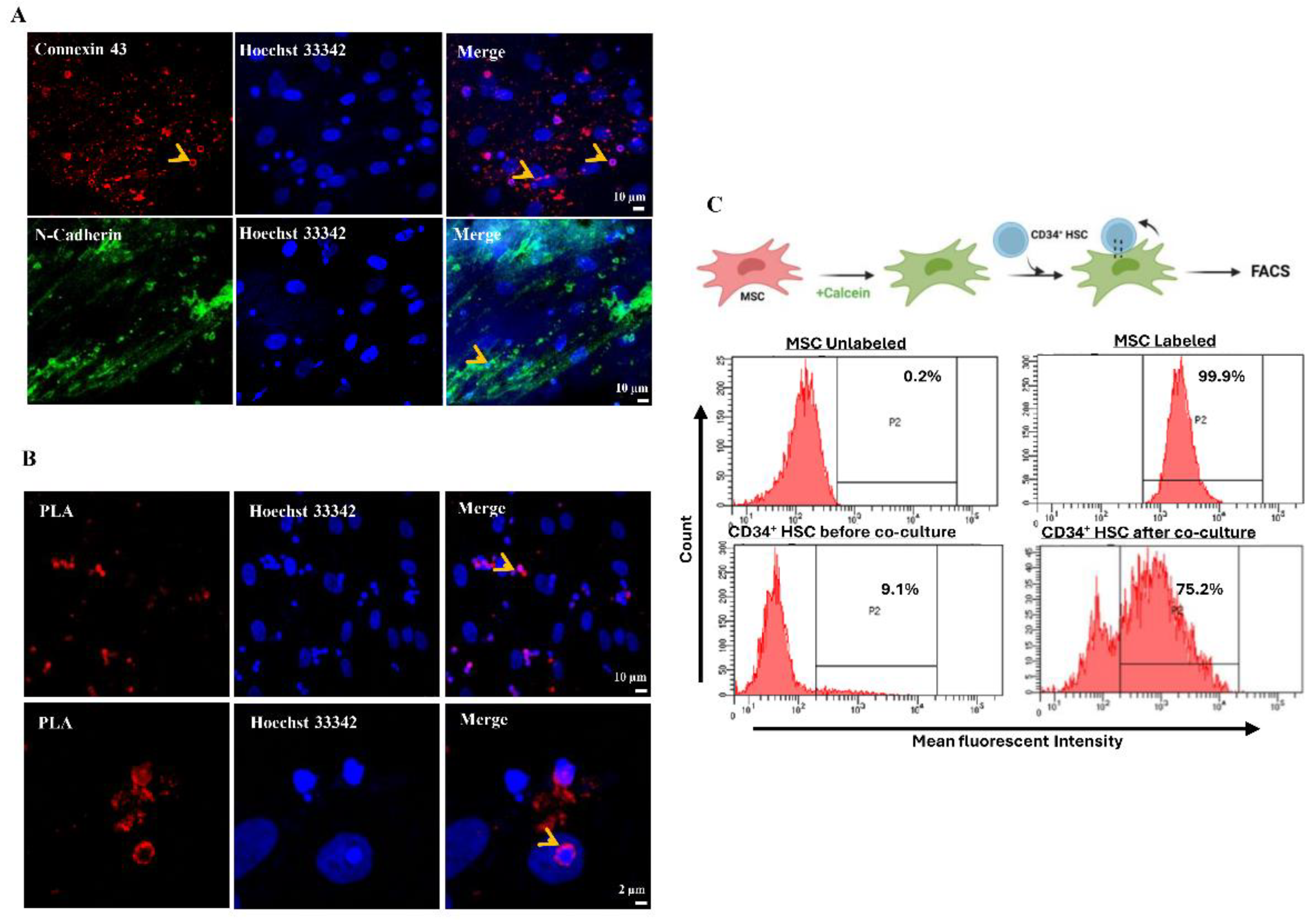 Preprints 119727 g002