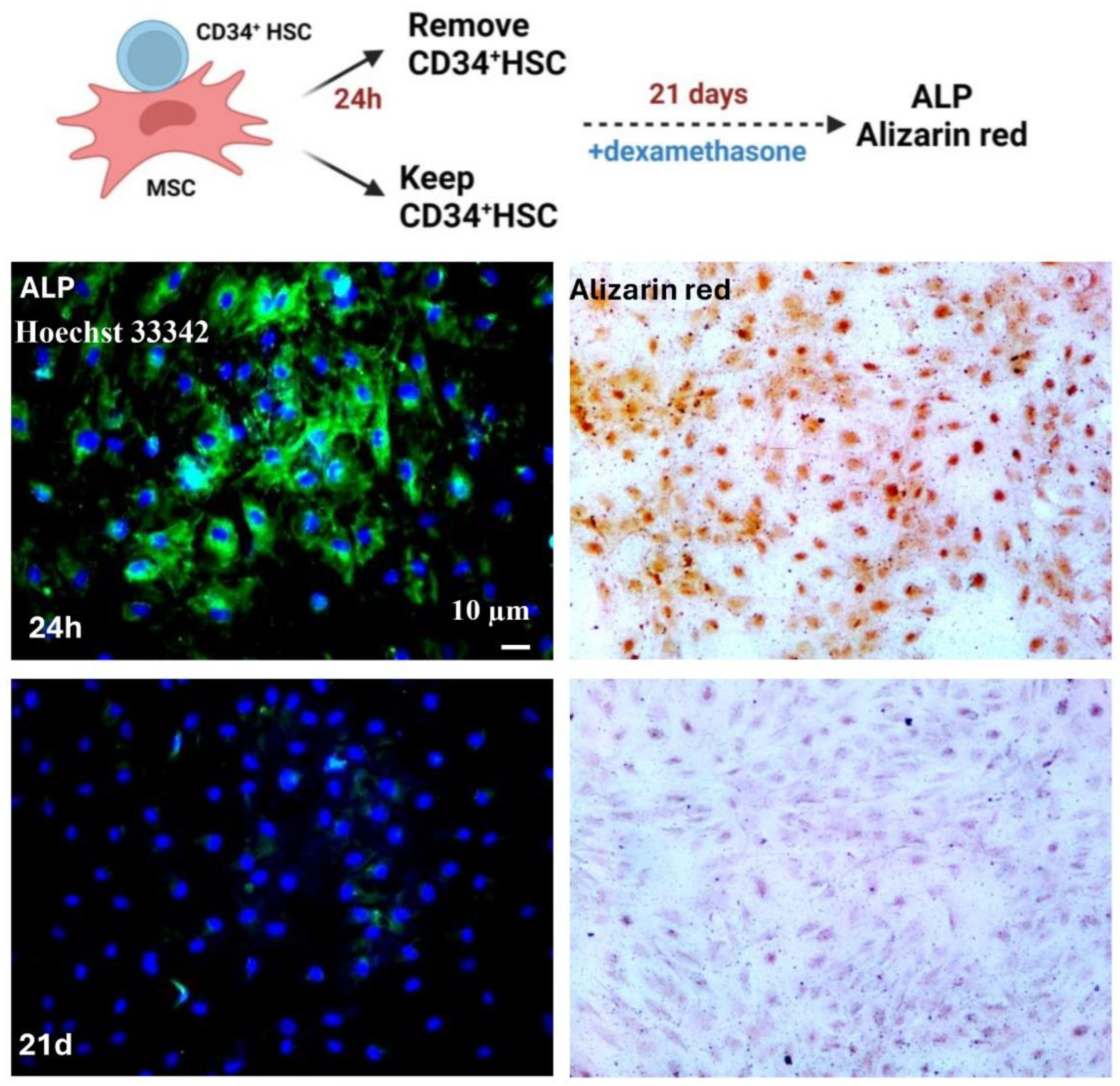 Preprints 119727 g003