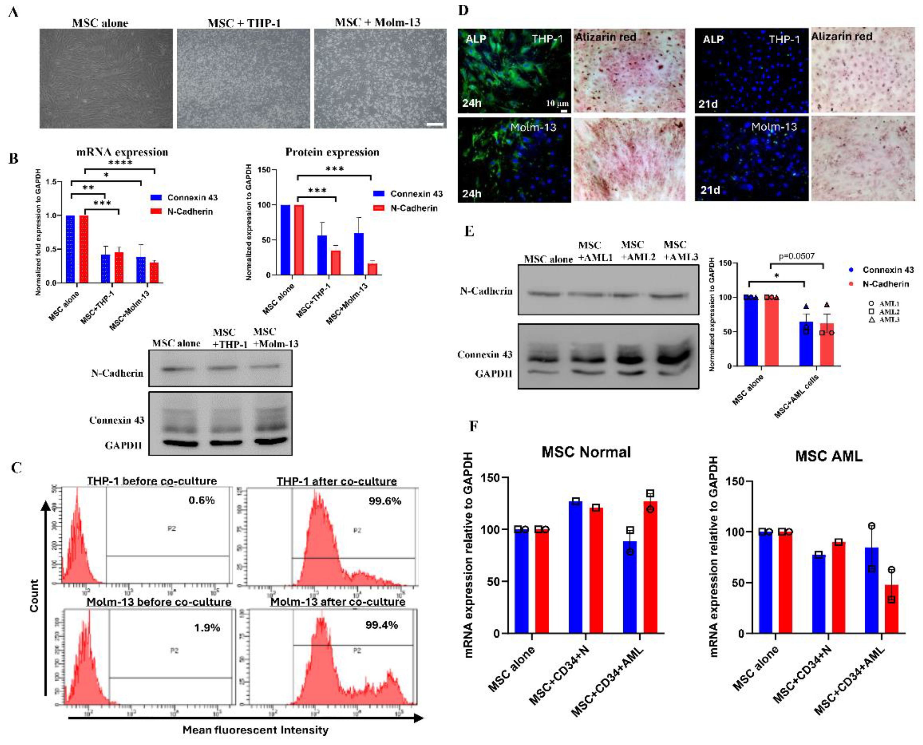 Preprints 119727 g004