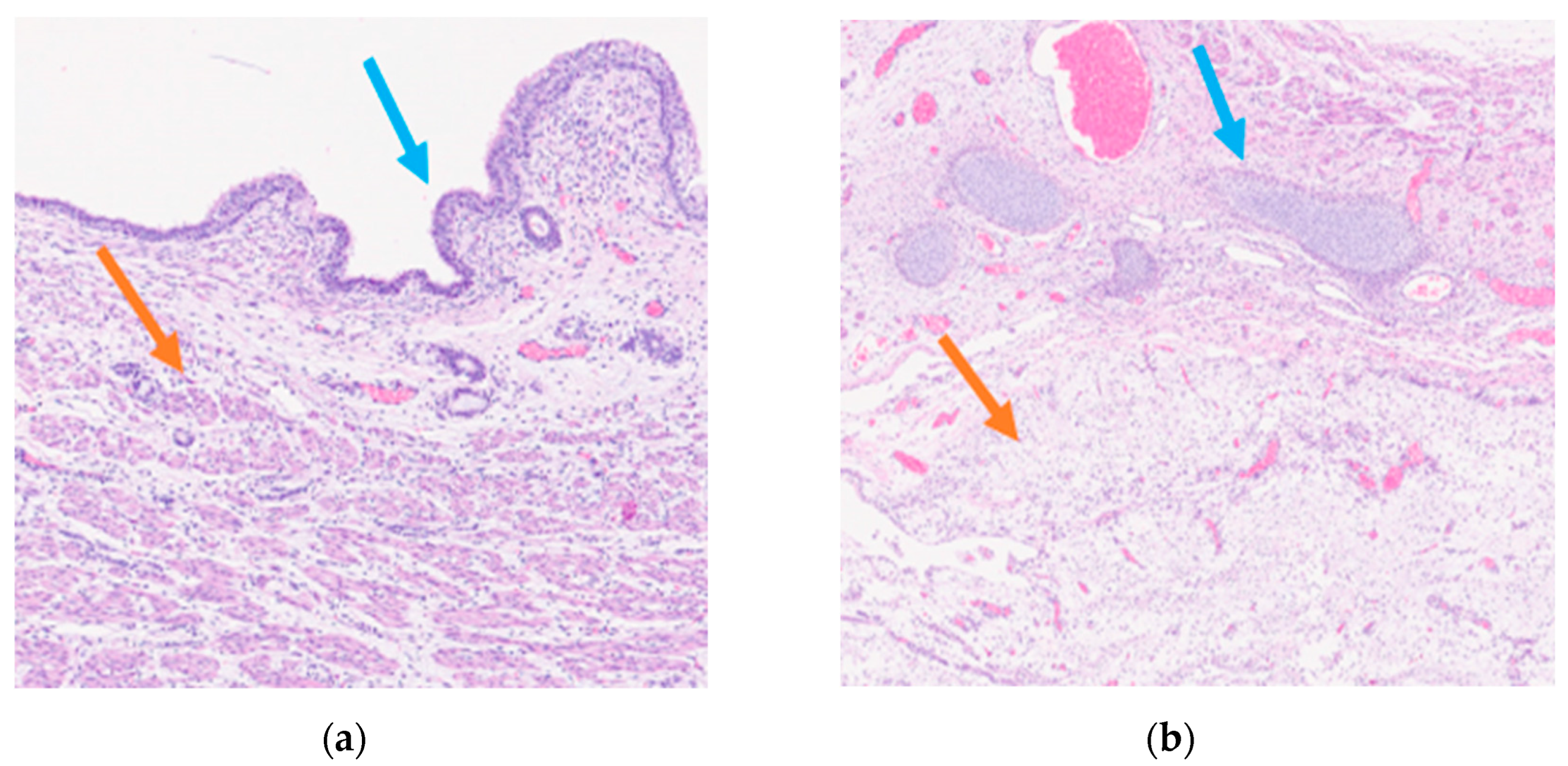 Preprints 84651 g003