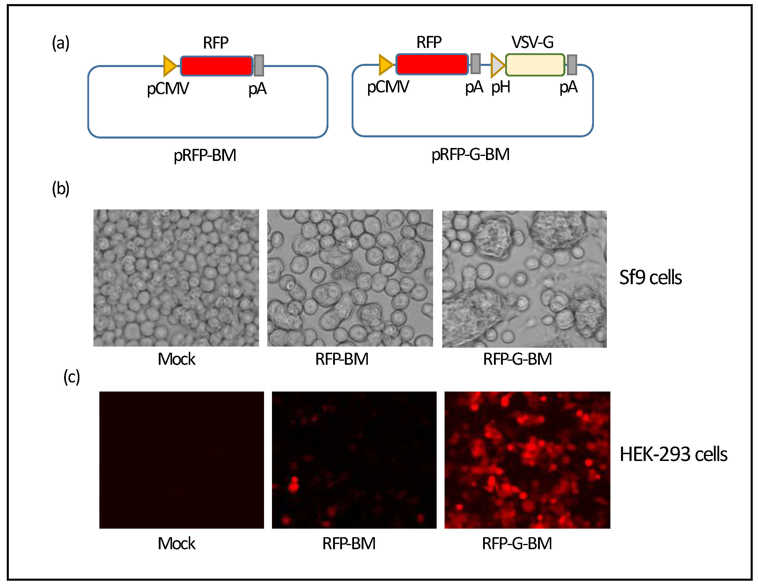 Preprints 93752 g001