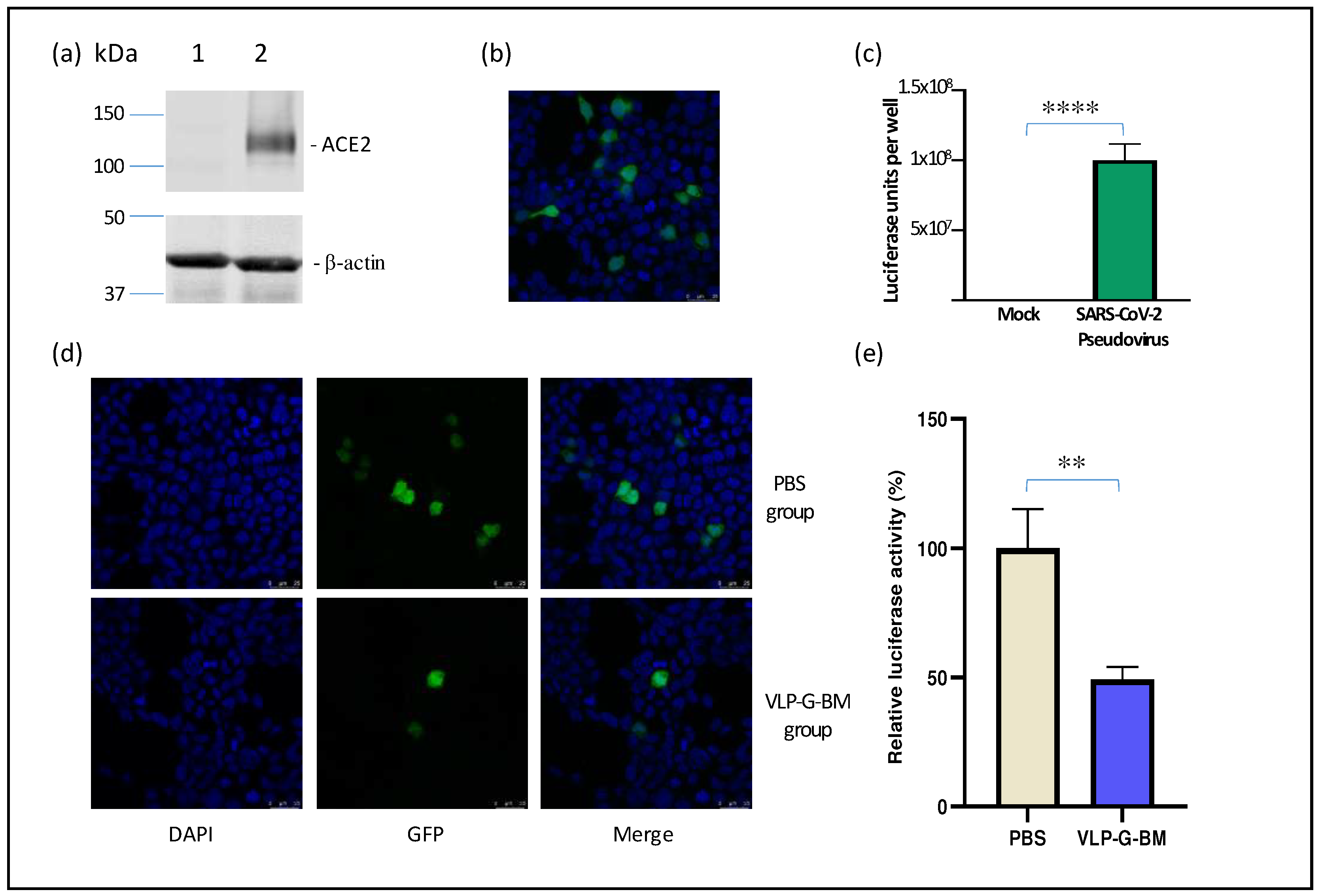 Preprints 93752 g004