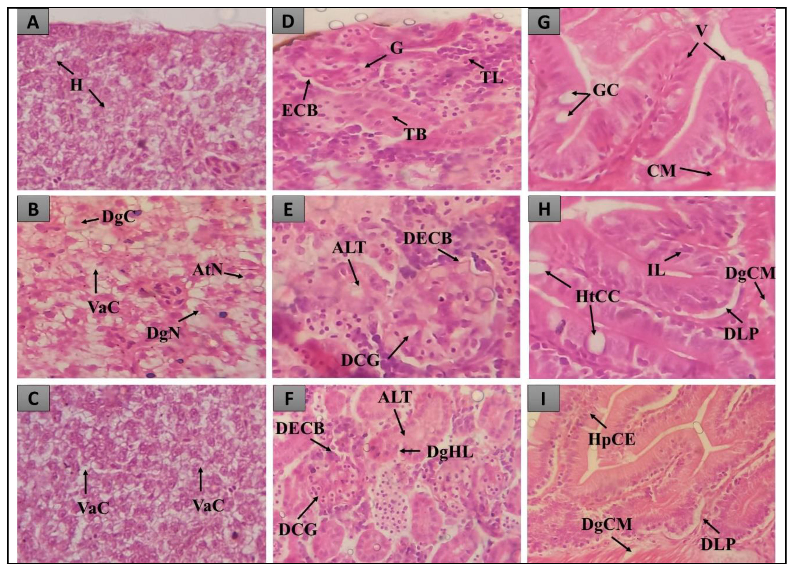 Preprints 79907 g003