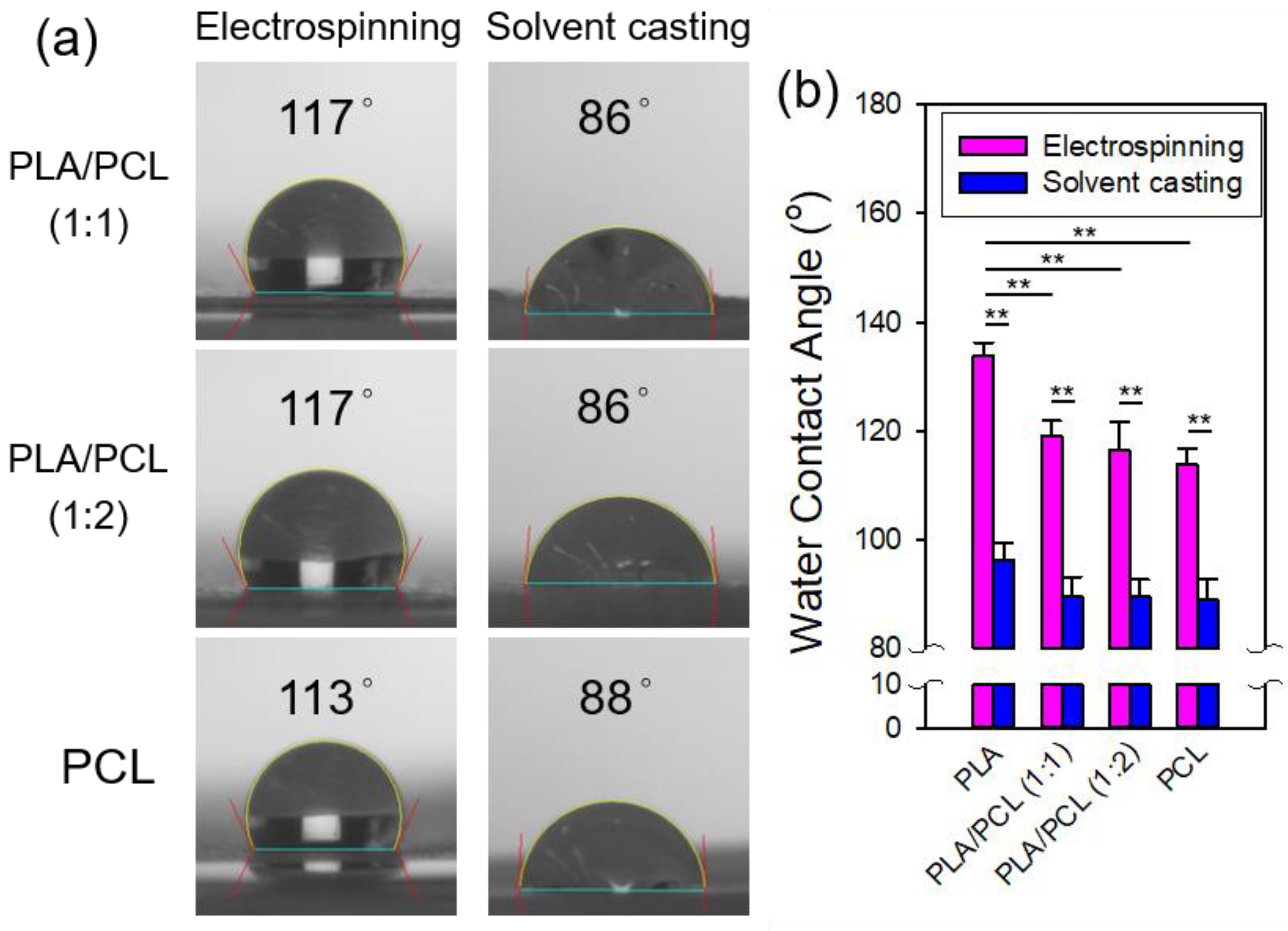 Preprints 121357 g013