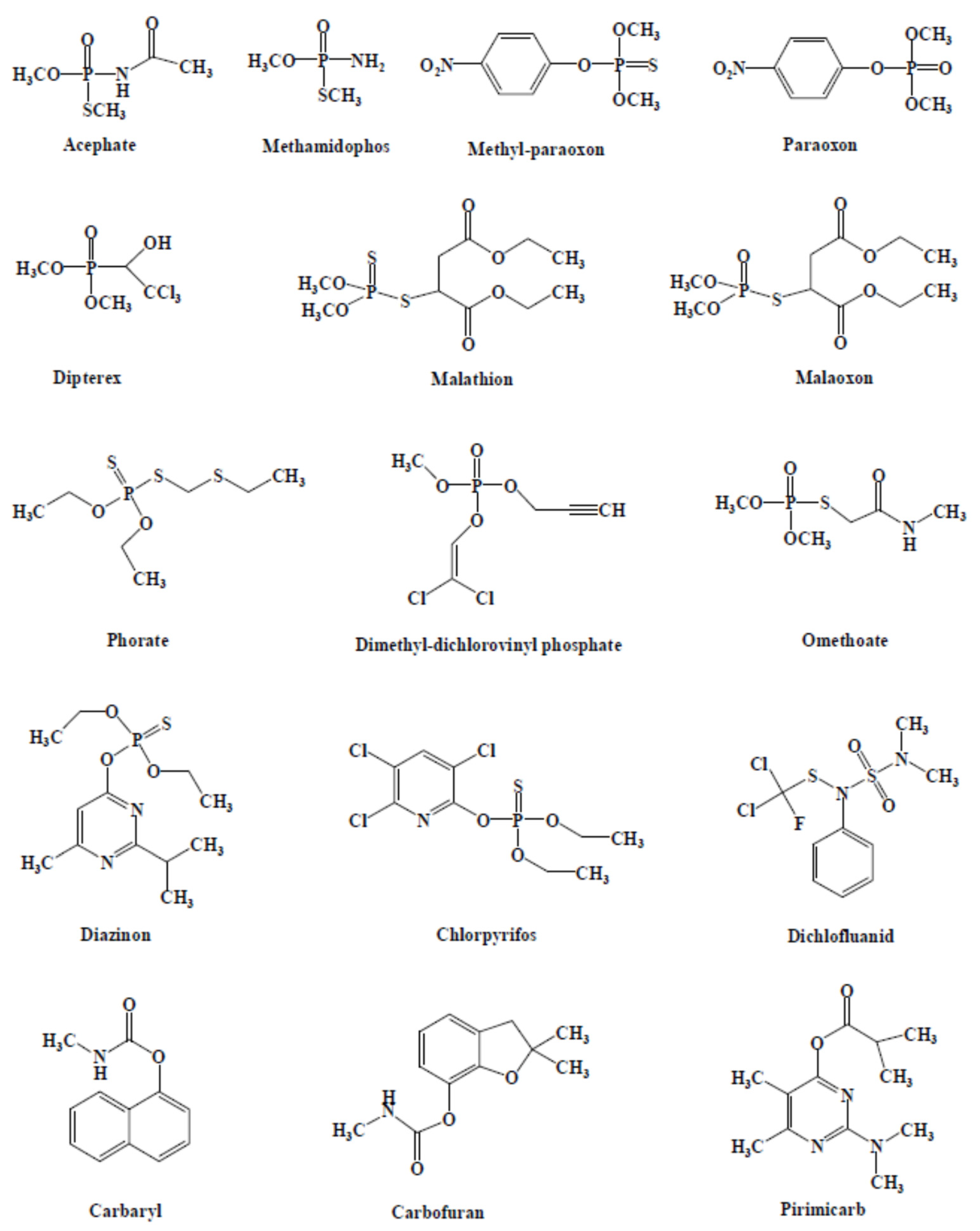 Preprints 78846 g001