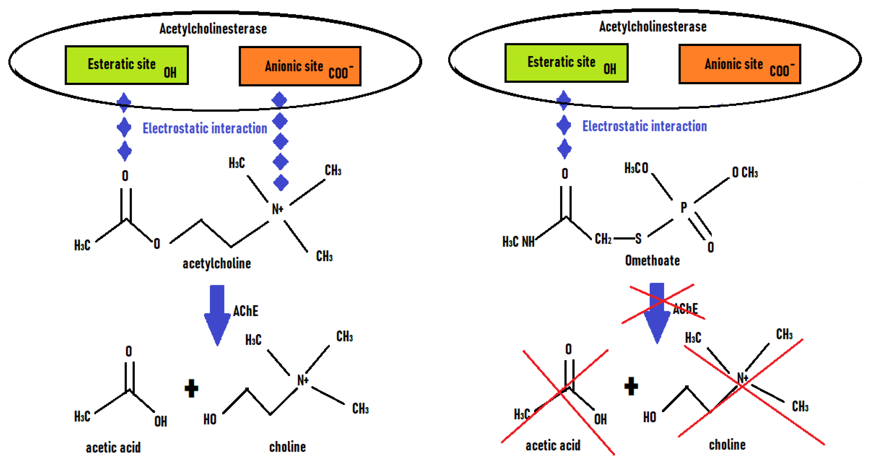 Preprints 78846 g003