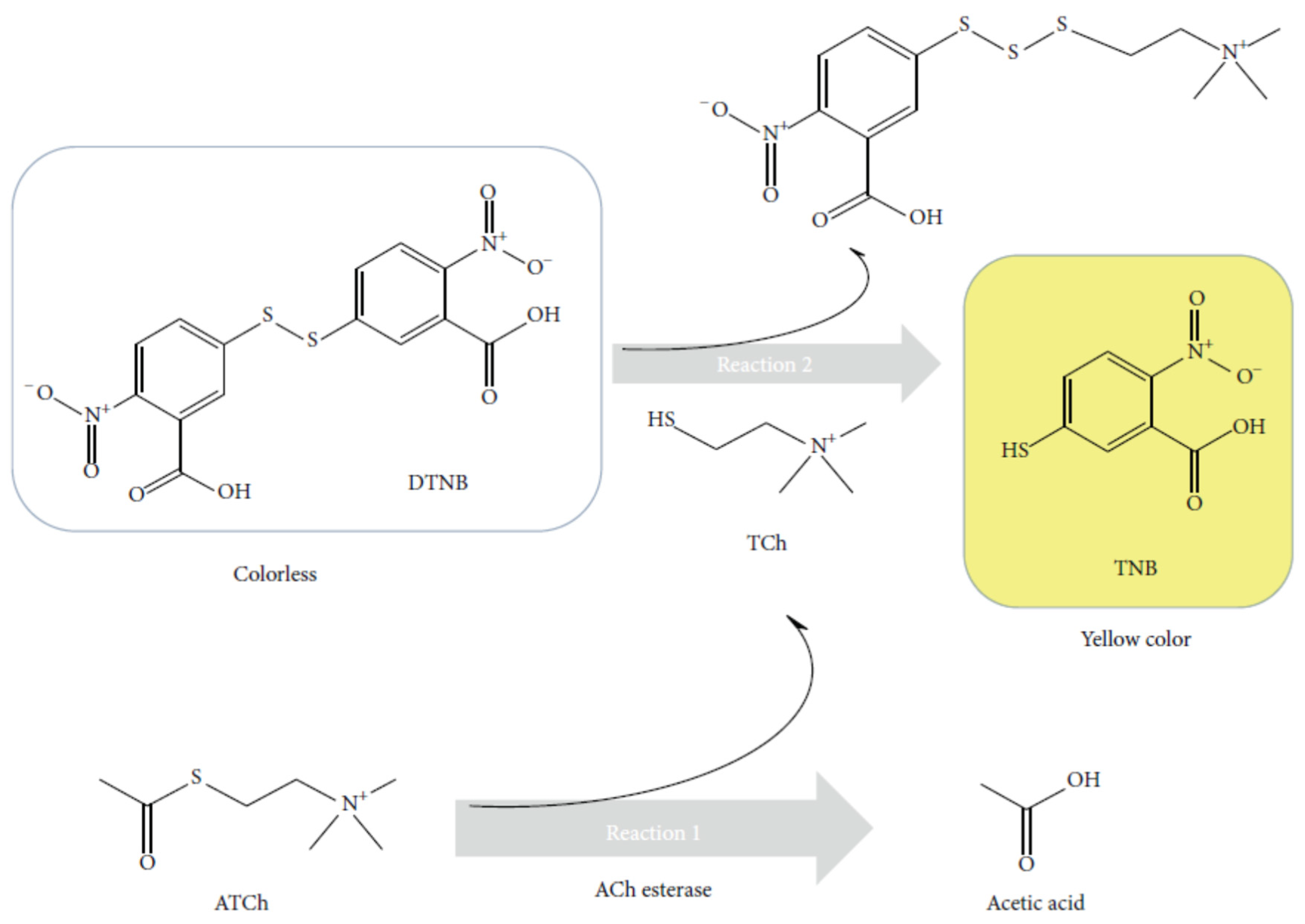 Preprints 78846 g004