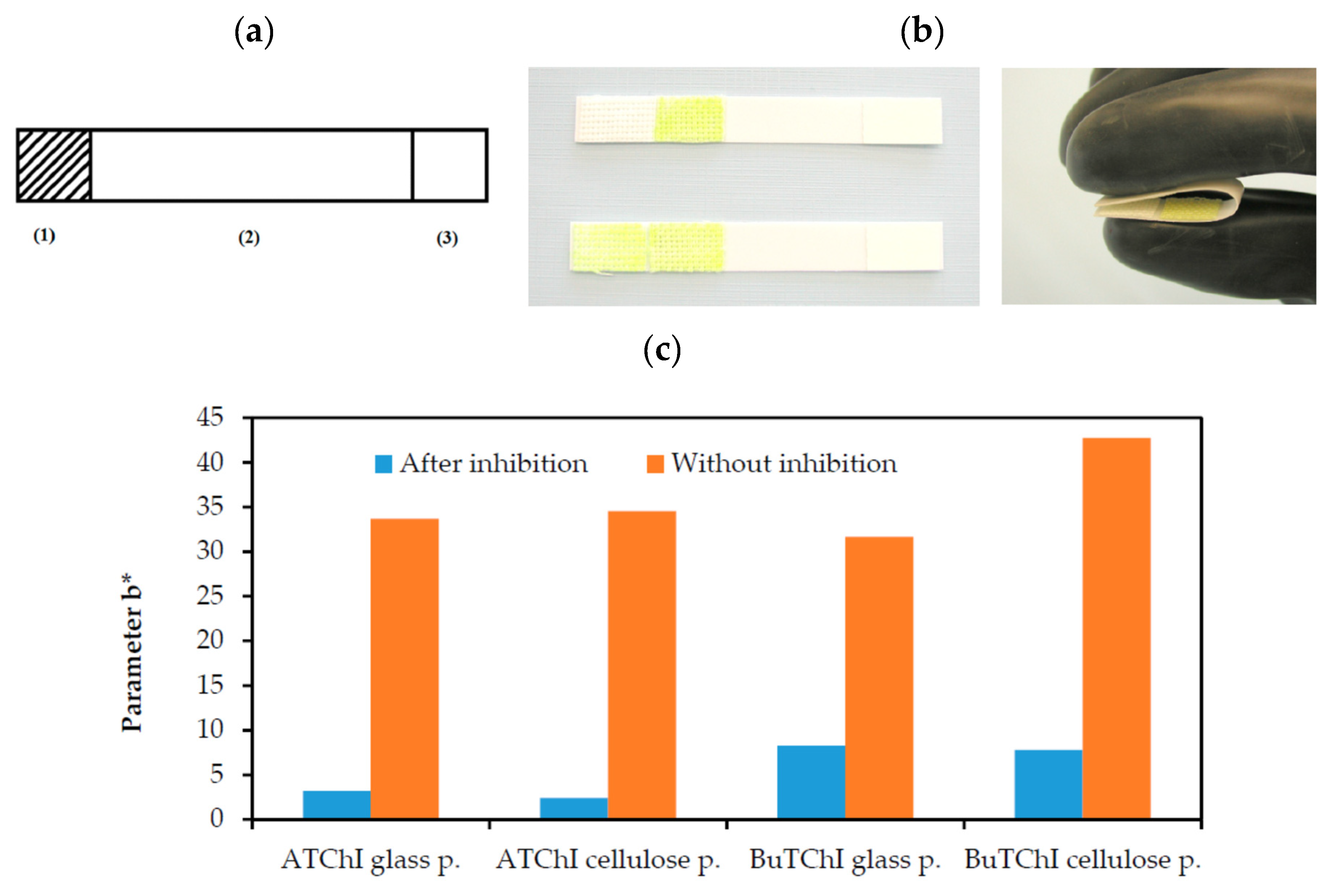 Preprints 78846 g005