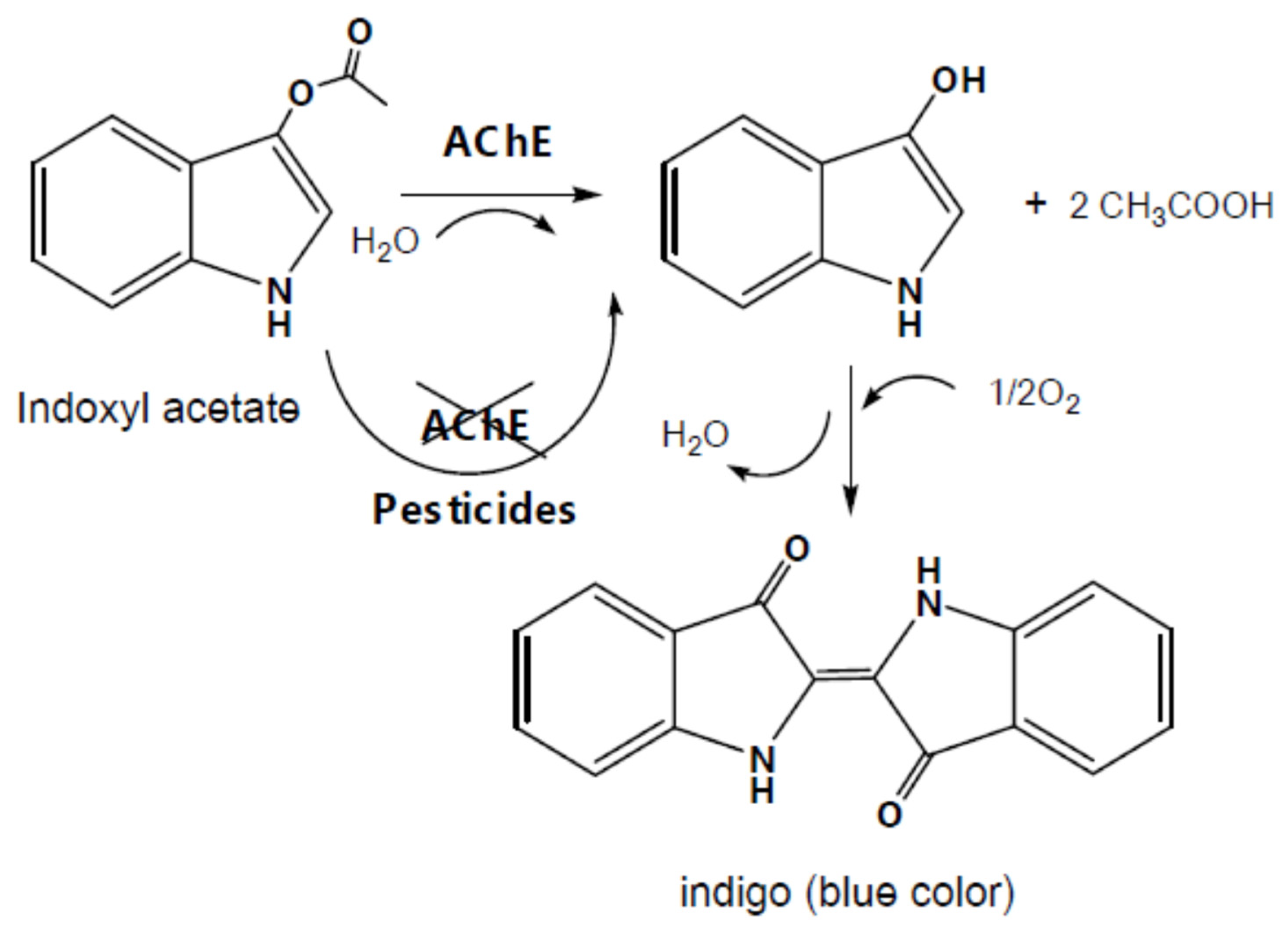 Preprints 78846 g007