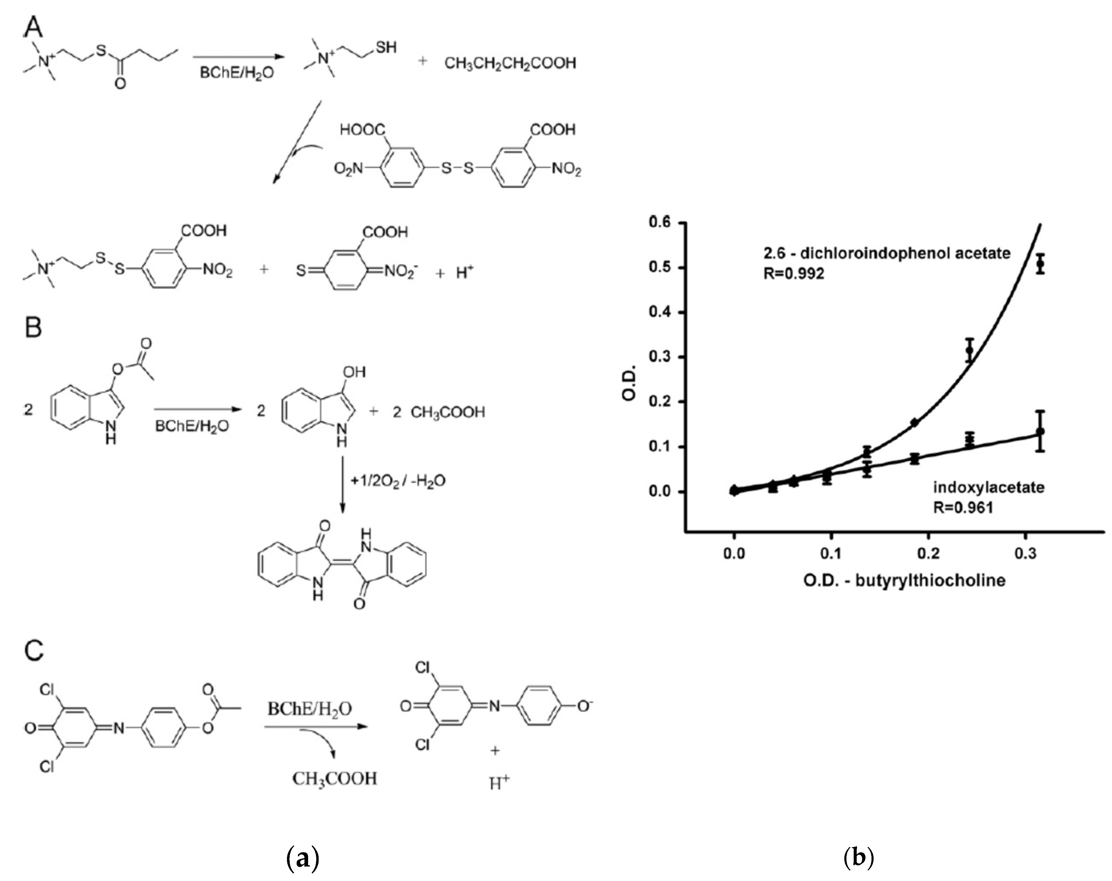 Preprints 78846 g008