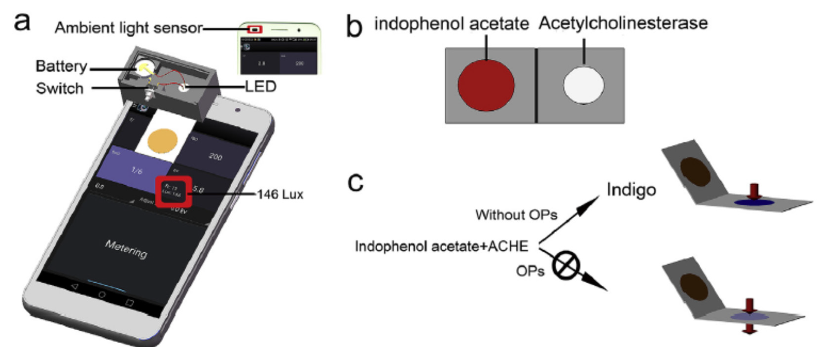 Preprints 78846 g009