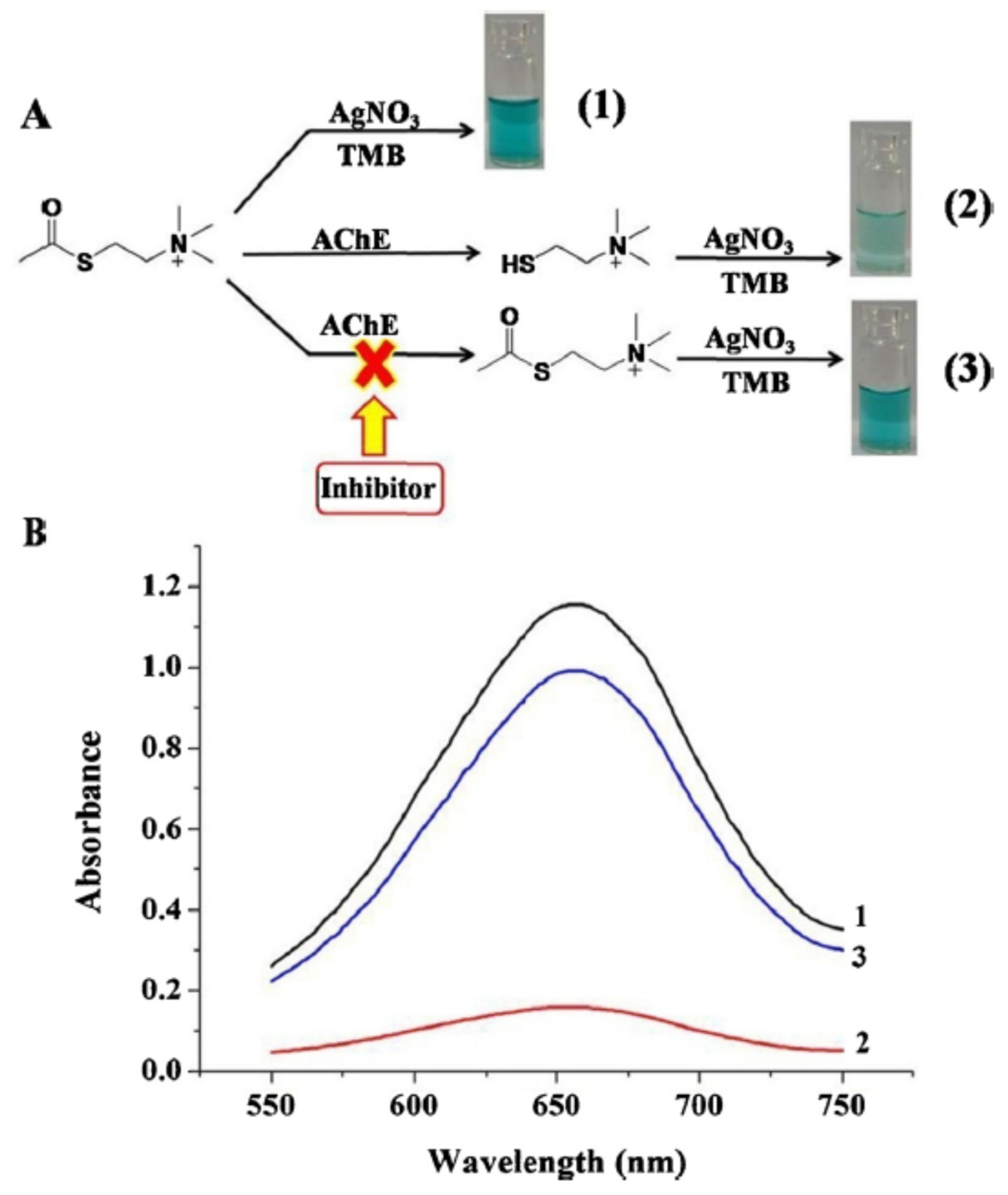 Preprints 78846 g011