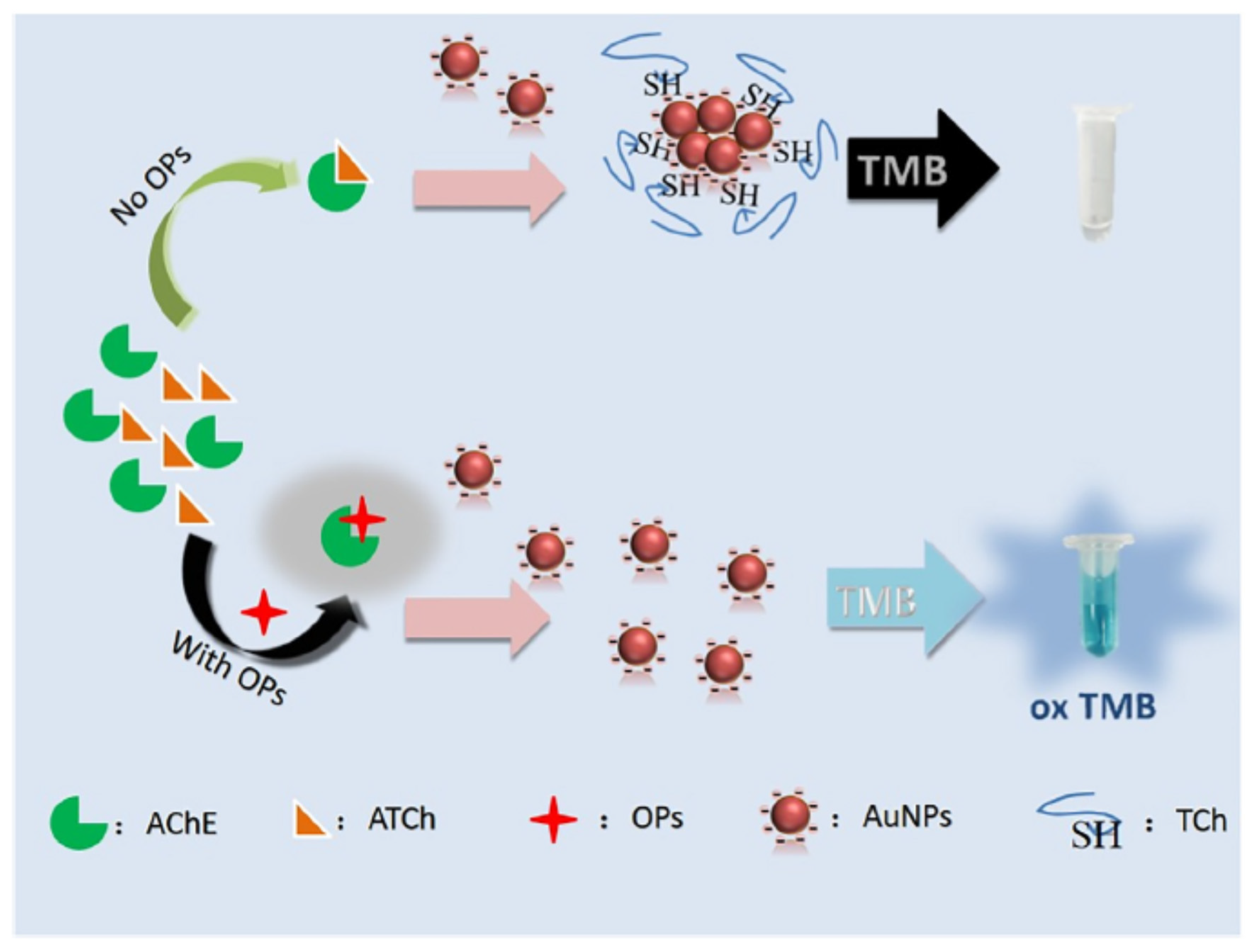 Preprints 78846 g012