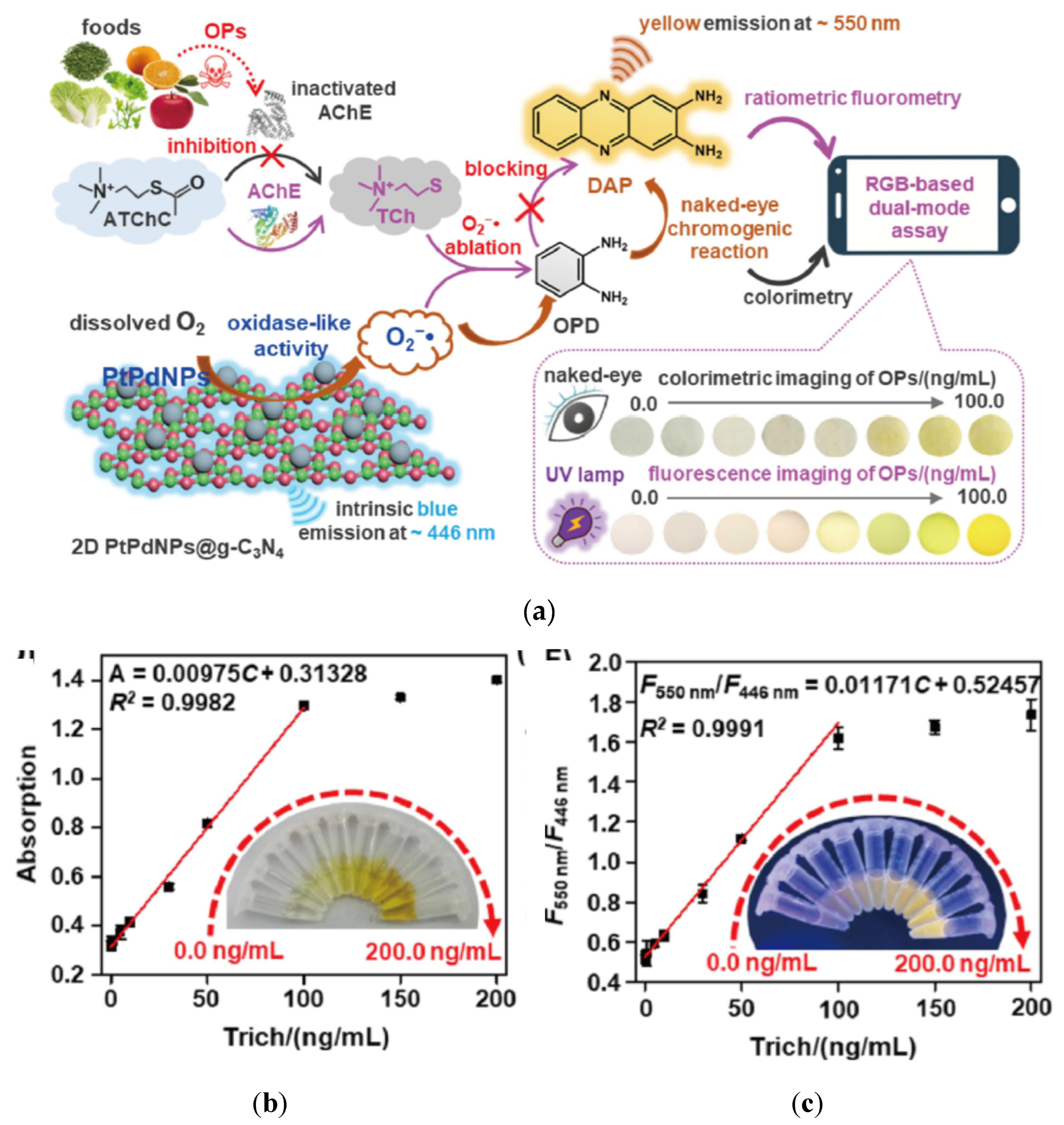 Preprints 78846 g029