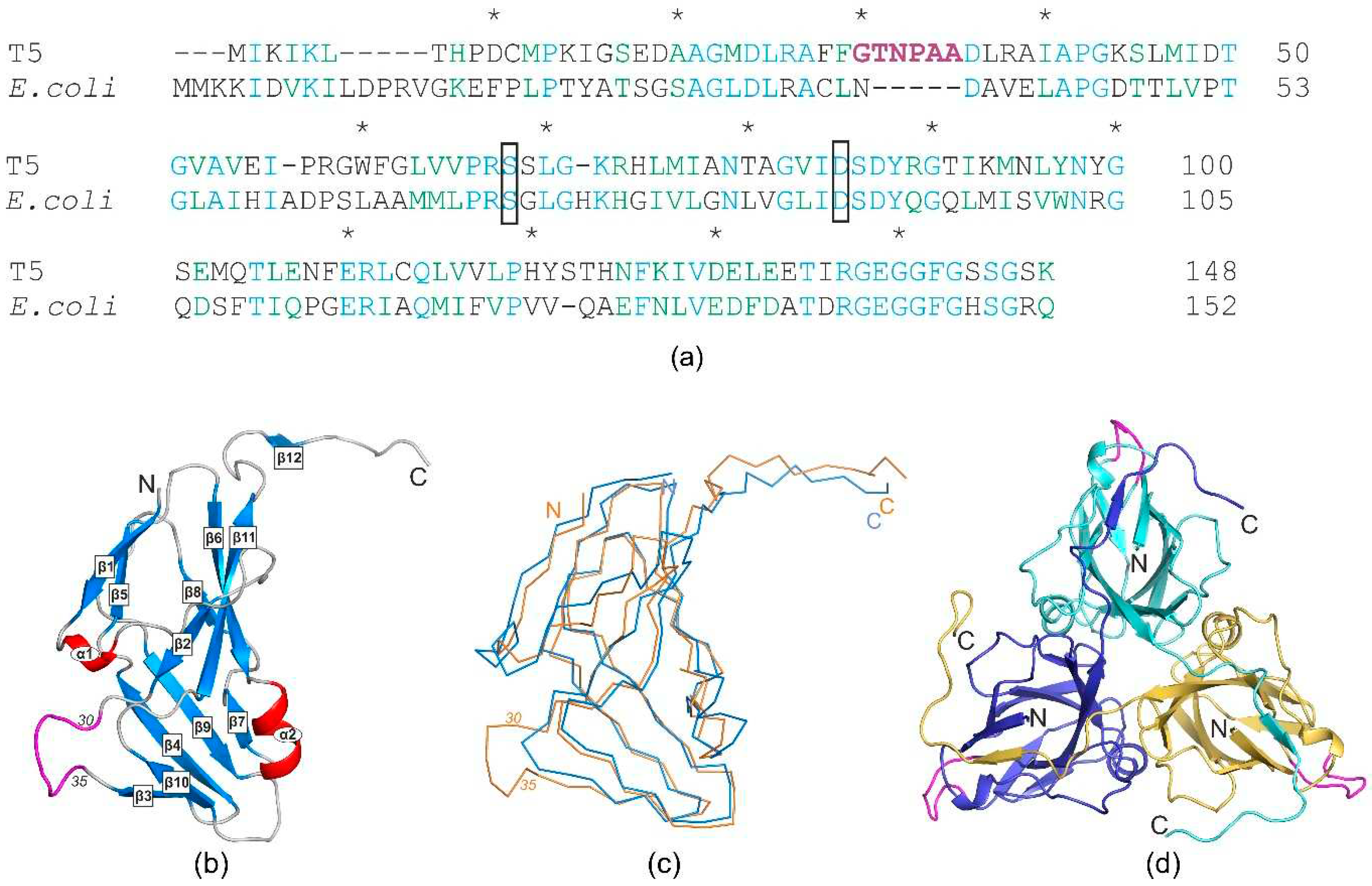 Preprints 93357 g002