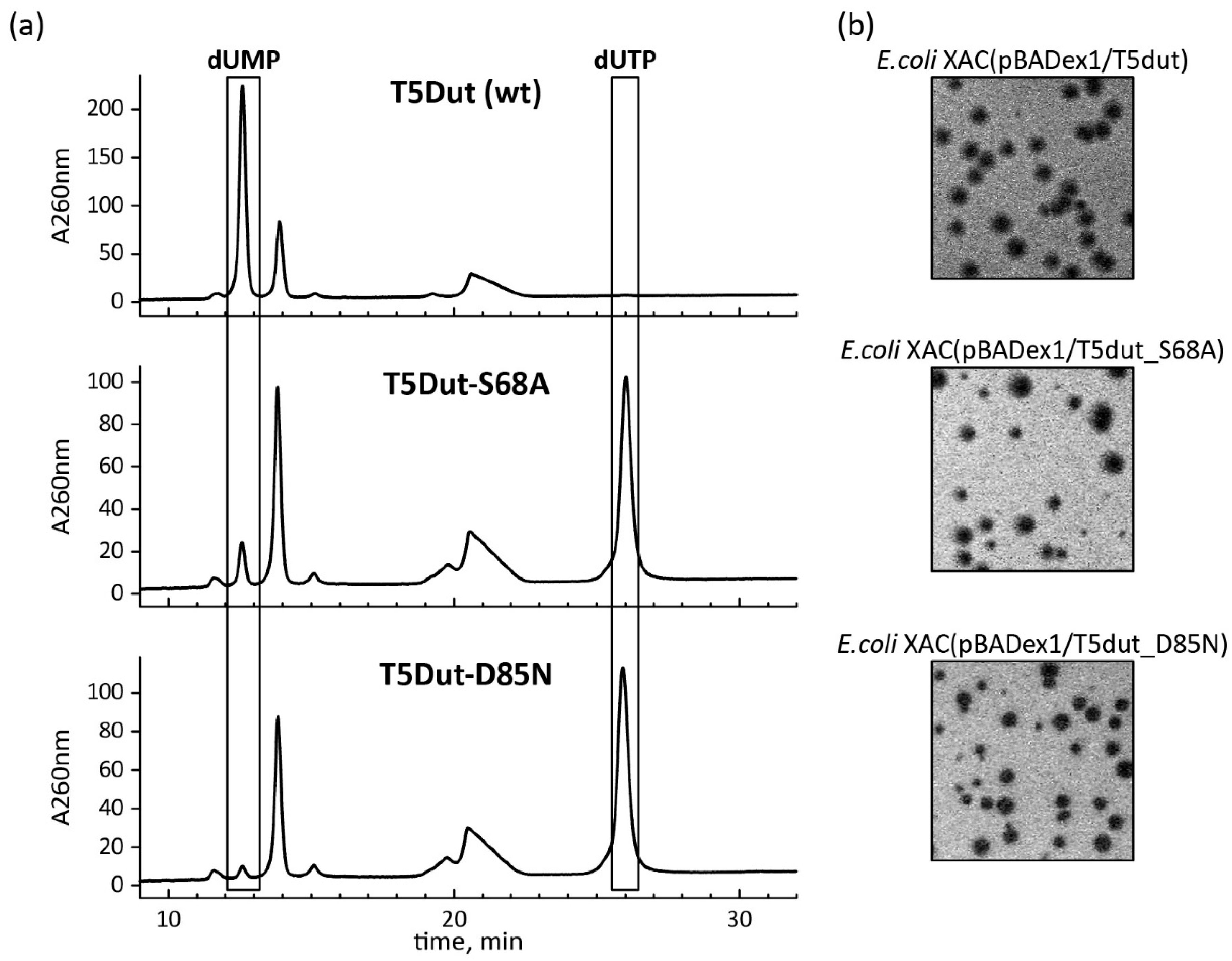 Preprints 93357 g006