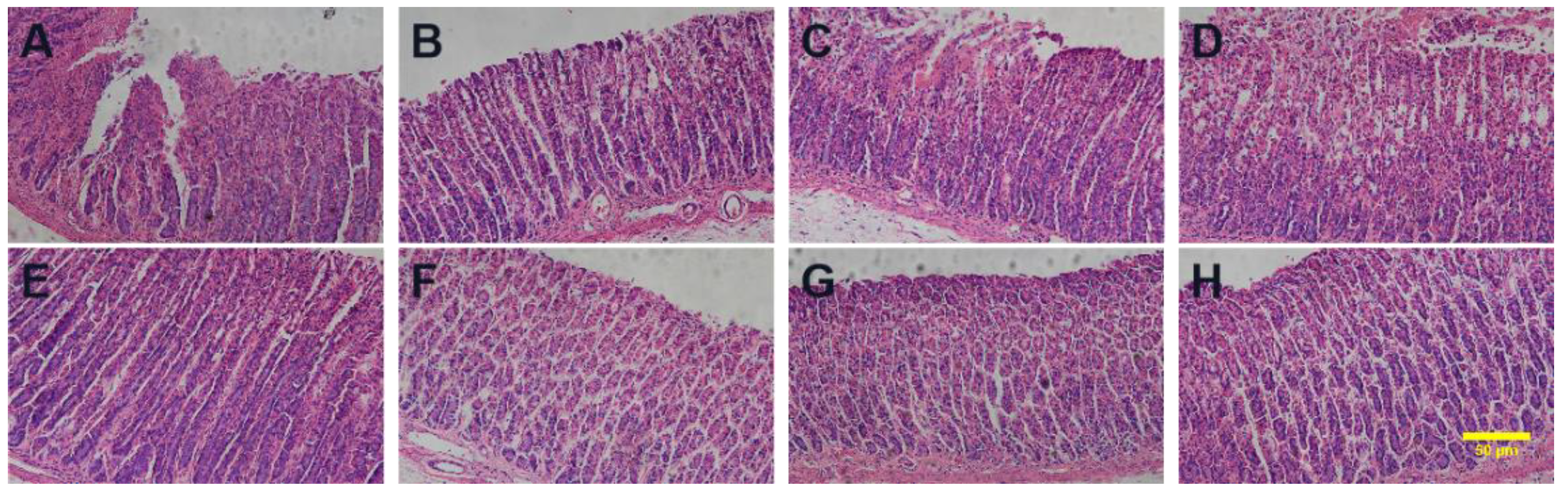 Preprints 105407 g010