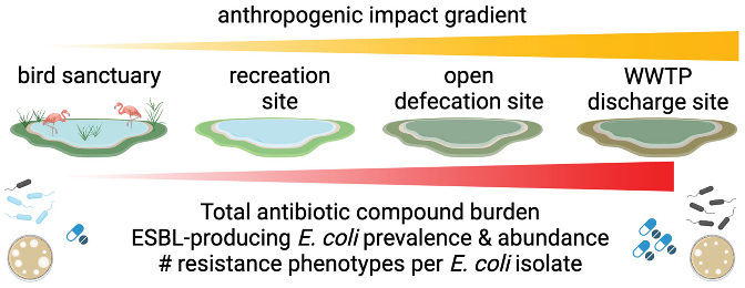 Preprints 118479 i001