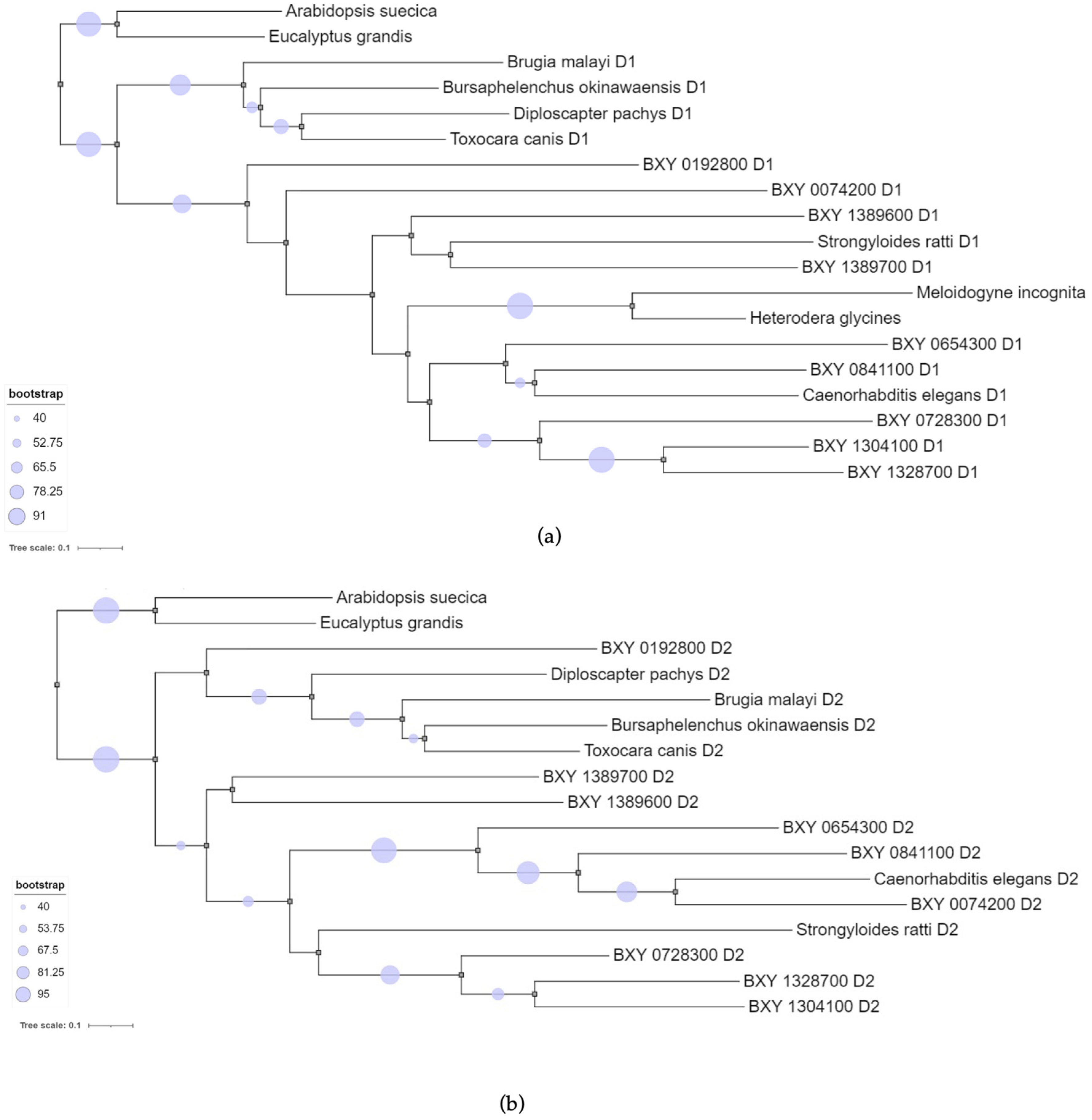 Preprints 92425 g003