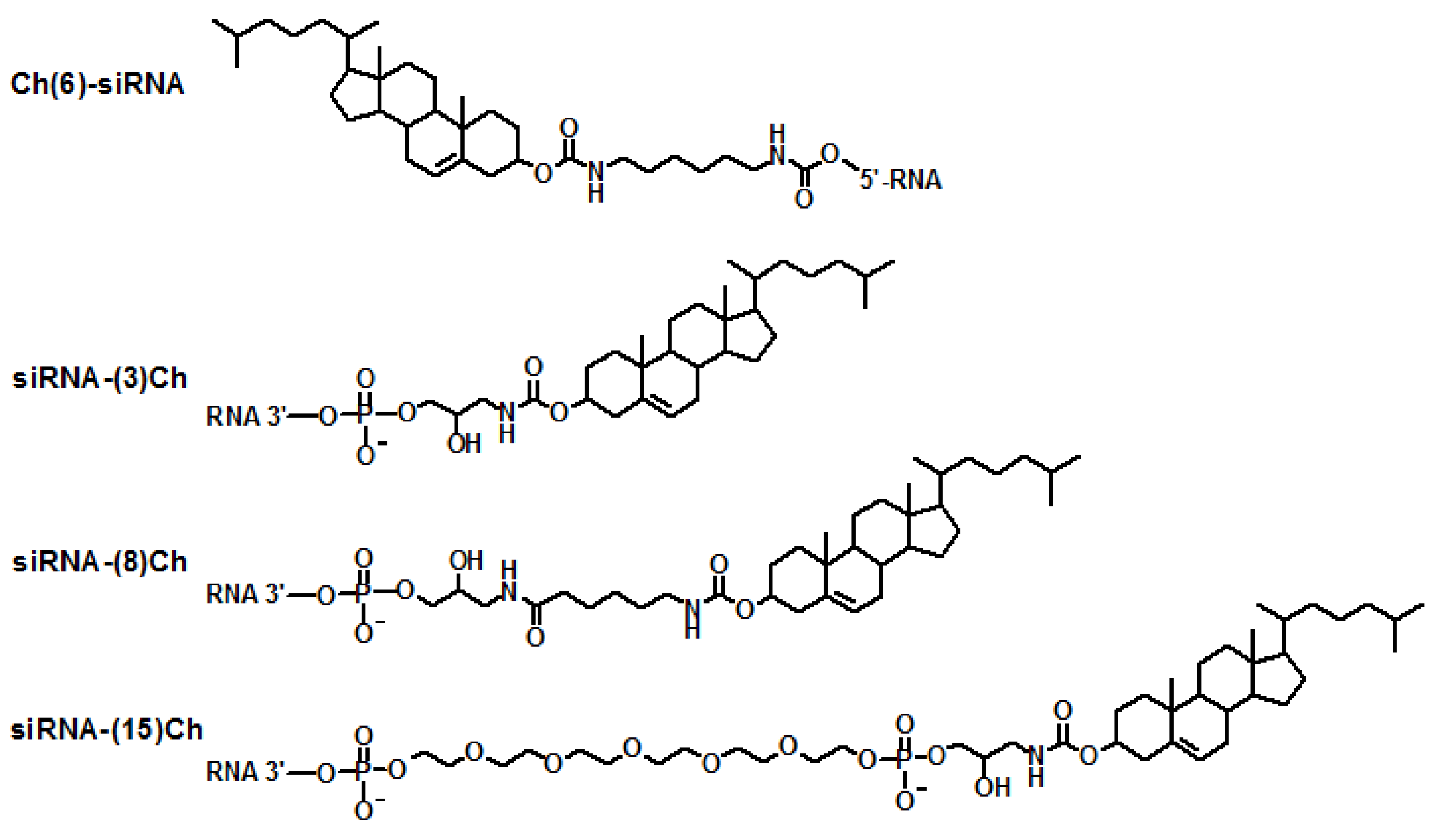 Preprints 93407 g001