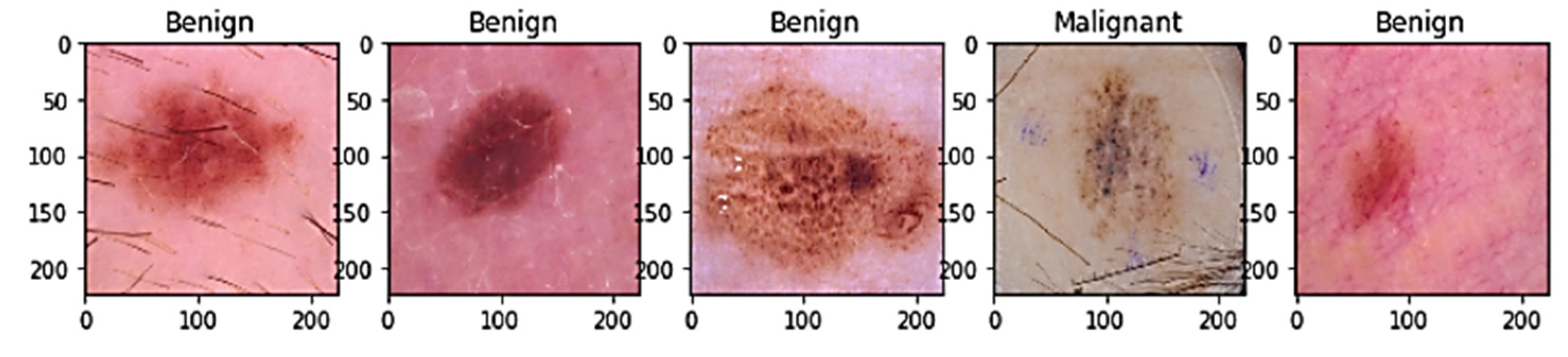 Preprints 80409 g001