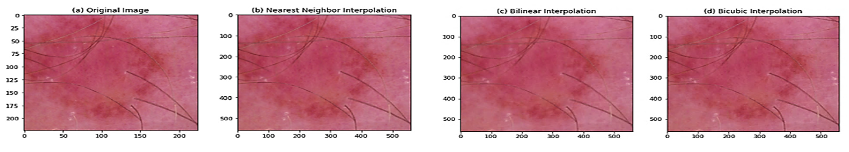 Preprints 80409 g006